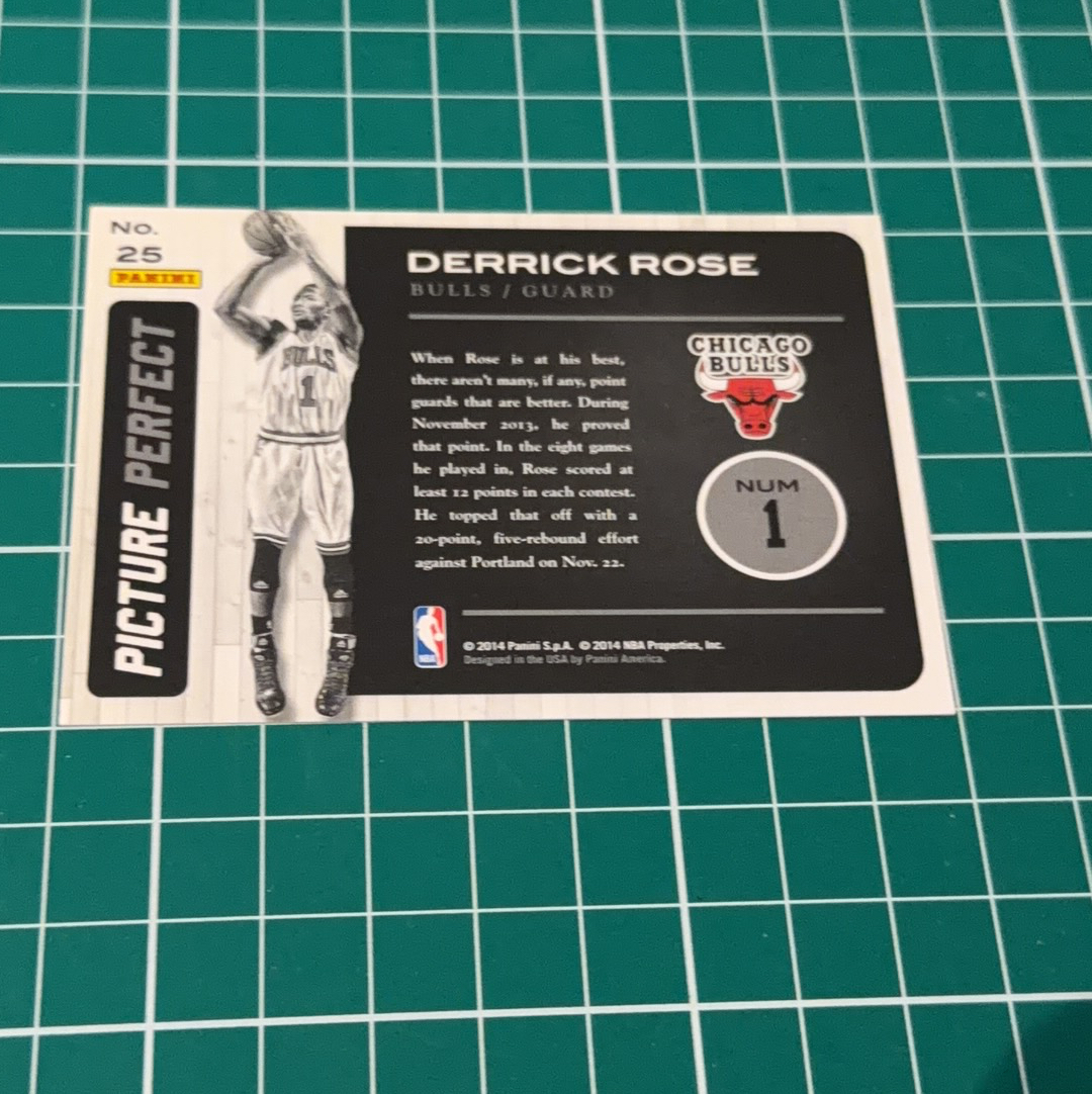 2014-15 Panini Americana Derrick Rose S.p.a. 德里克罗斯 风城玫瑰🌹 公牛队 大头特卡 闪卡 双选图 十年老卡 绝版卡 稀有大比例 折角