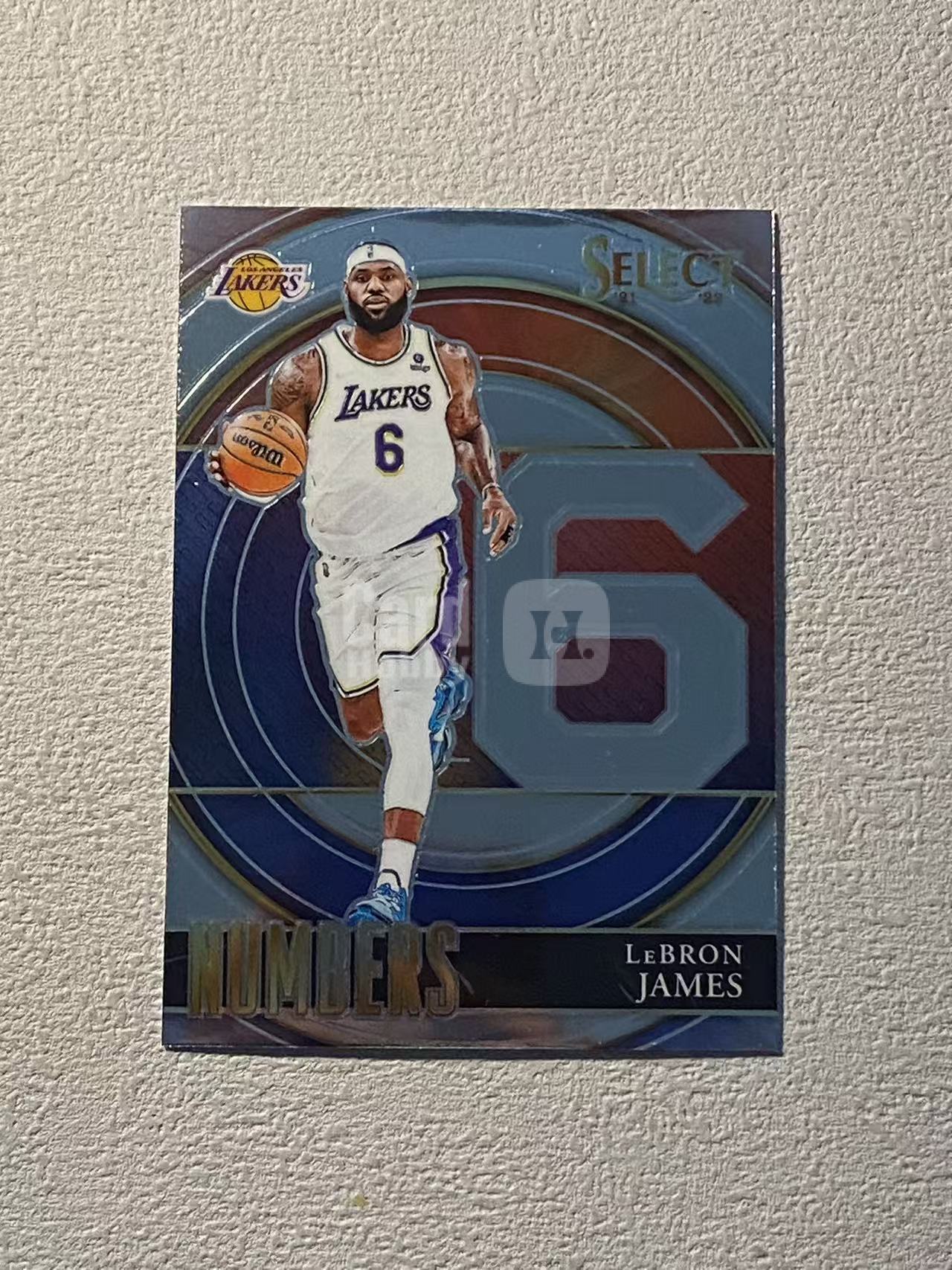 2021-22 Panini Select LeBron James 湖人 勒布朗 詹姆斯 老詹 大比例 背号特卡 6号 稀有 收藏必备