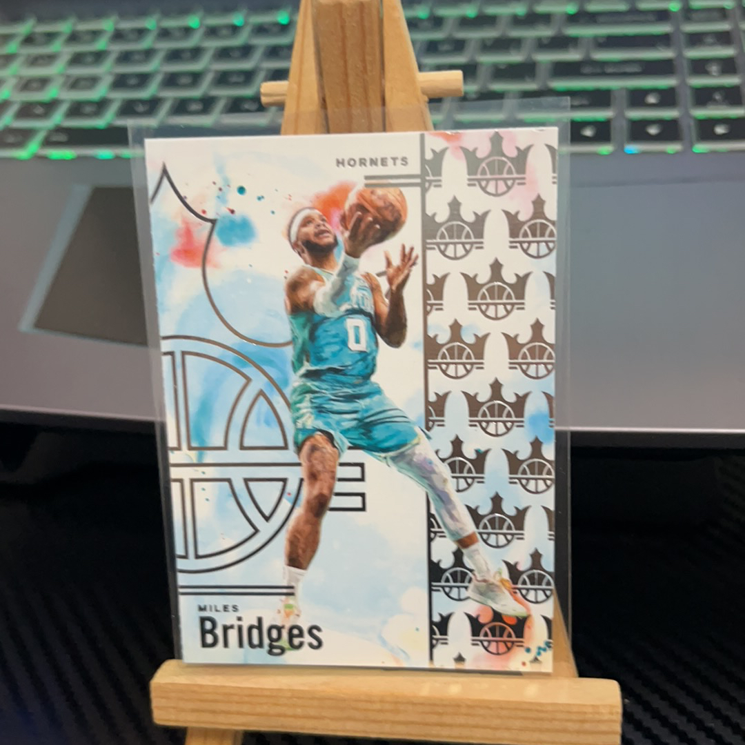 2024-25 Panini Court Kings Mikal Bridges 布里奇斯 黄蜂 油画系列 卡品如图 凑图必备 值得收藏!免费代卖!