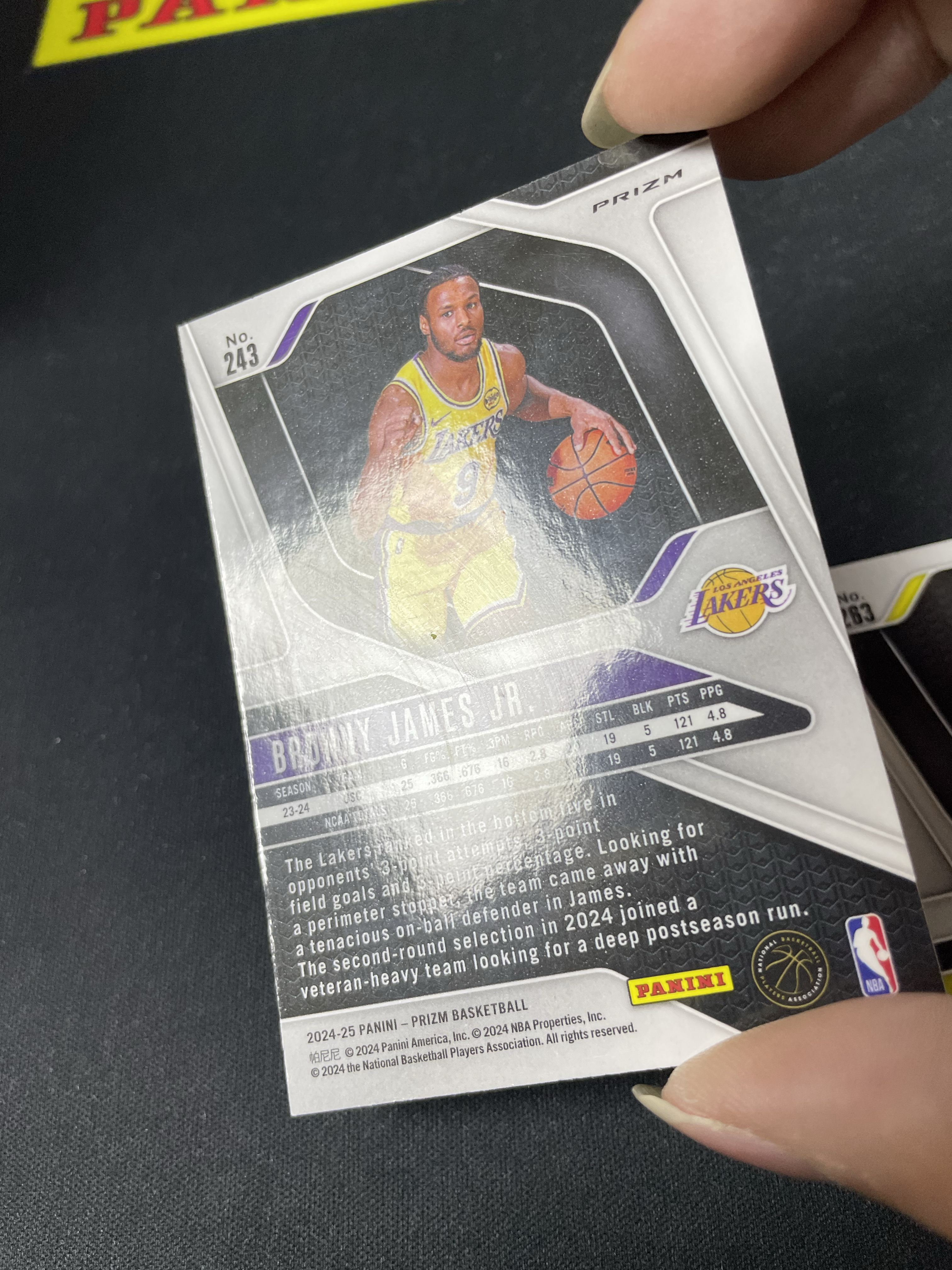 【皮成仙拍卖 统一手续费6%】 PANINI 24-25 PRIZM 湖人 布朗尼詹姆斯 爵士 凯尔菲利波夫斯基 新秀 RC 银折 一图打包 瑕疵如图 凑套必备 值得收藏【只发顺丰】柱子123