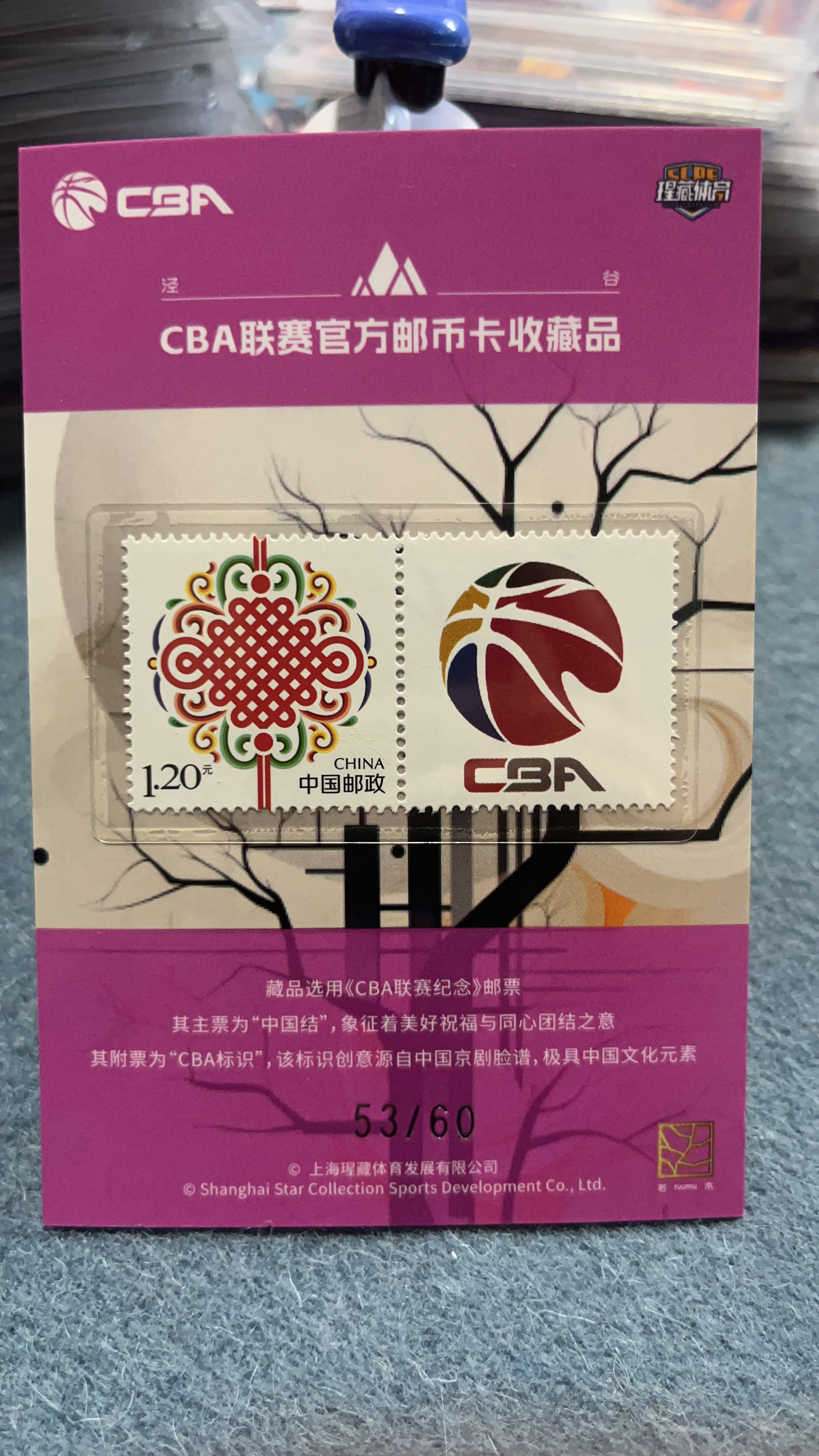 2023-24 上海瑆藏体育 泾谷系列 CBA 大圣 王岚嵚 53/60 卡品编号如图