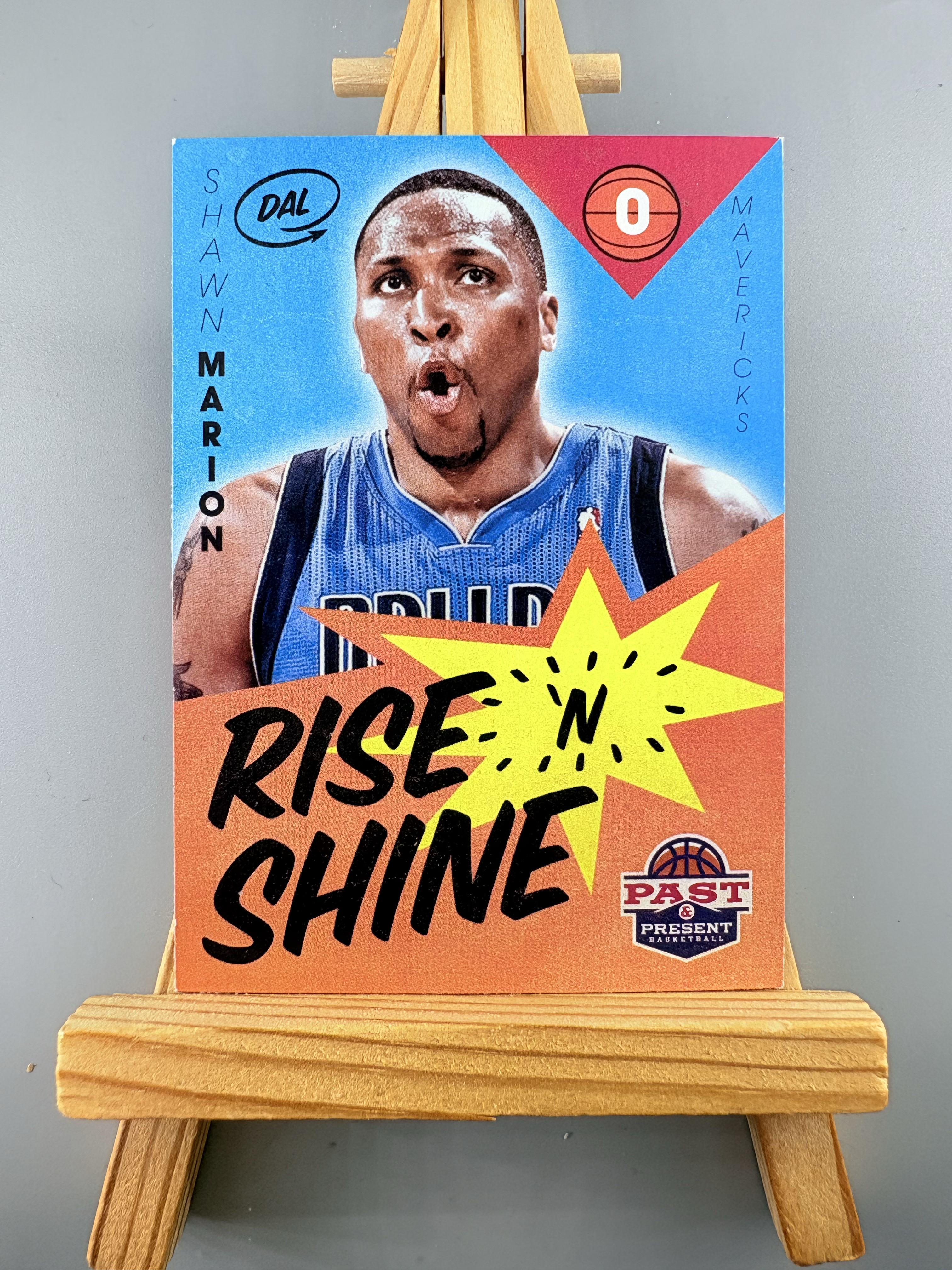 2012-13 Panini Past and Present Shawn Marion 【缪斯代拍】马里昂 小牛 帕尼尼 特卡 卡品如图afc123