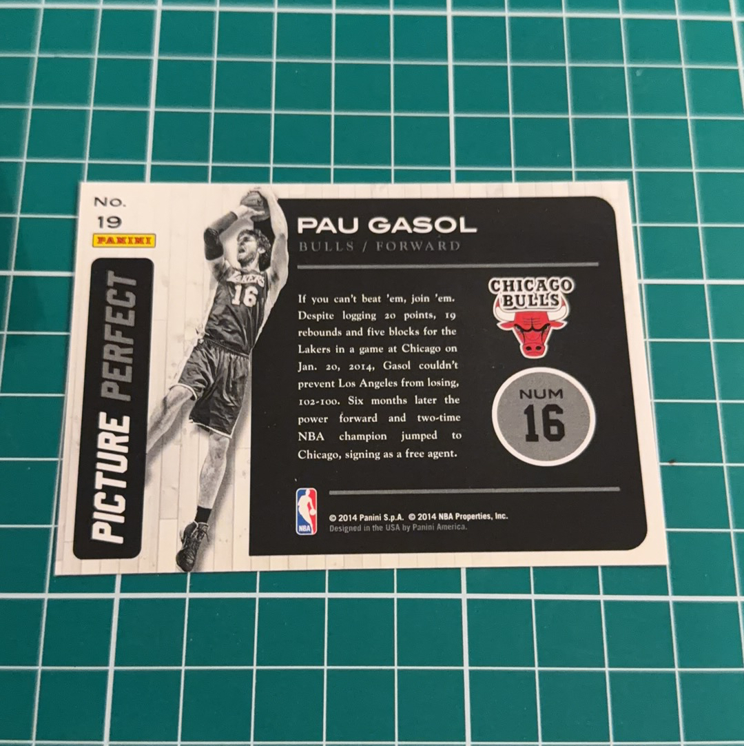 2014-15 Panini Americana Pau Gasol S.p.a.保罗加索尔 大加索尔 加嫂 大头 闪卡特卡 精美选图 十年老卡 绝版卡 稀有大比例