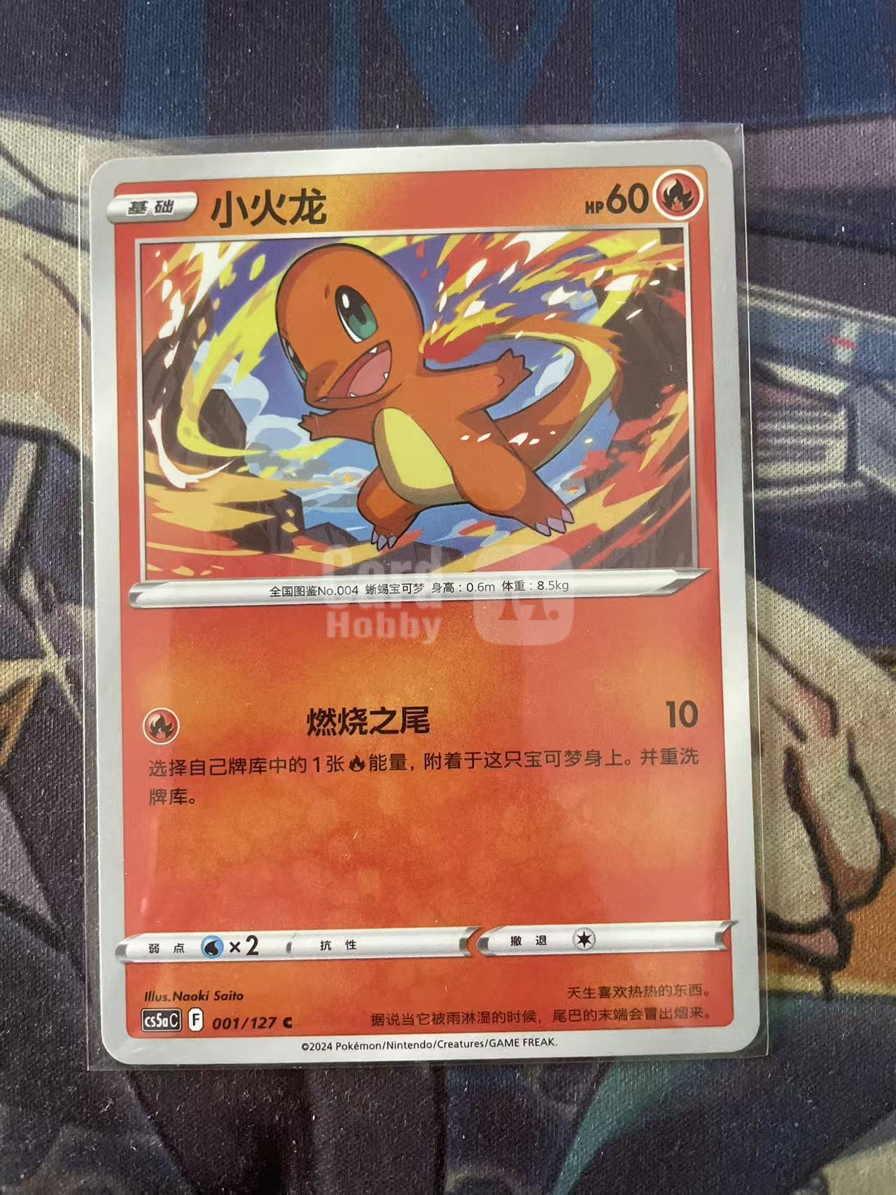 2024 Pokemon TCG 1 小火龙 chs 宝可梦 简中 木水拍卖 93