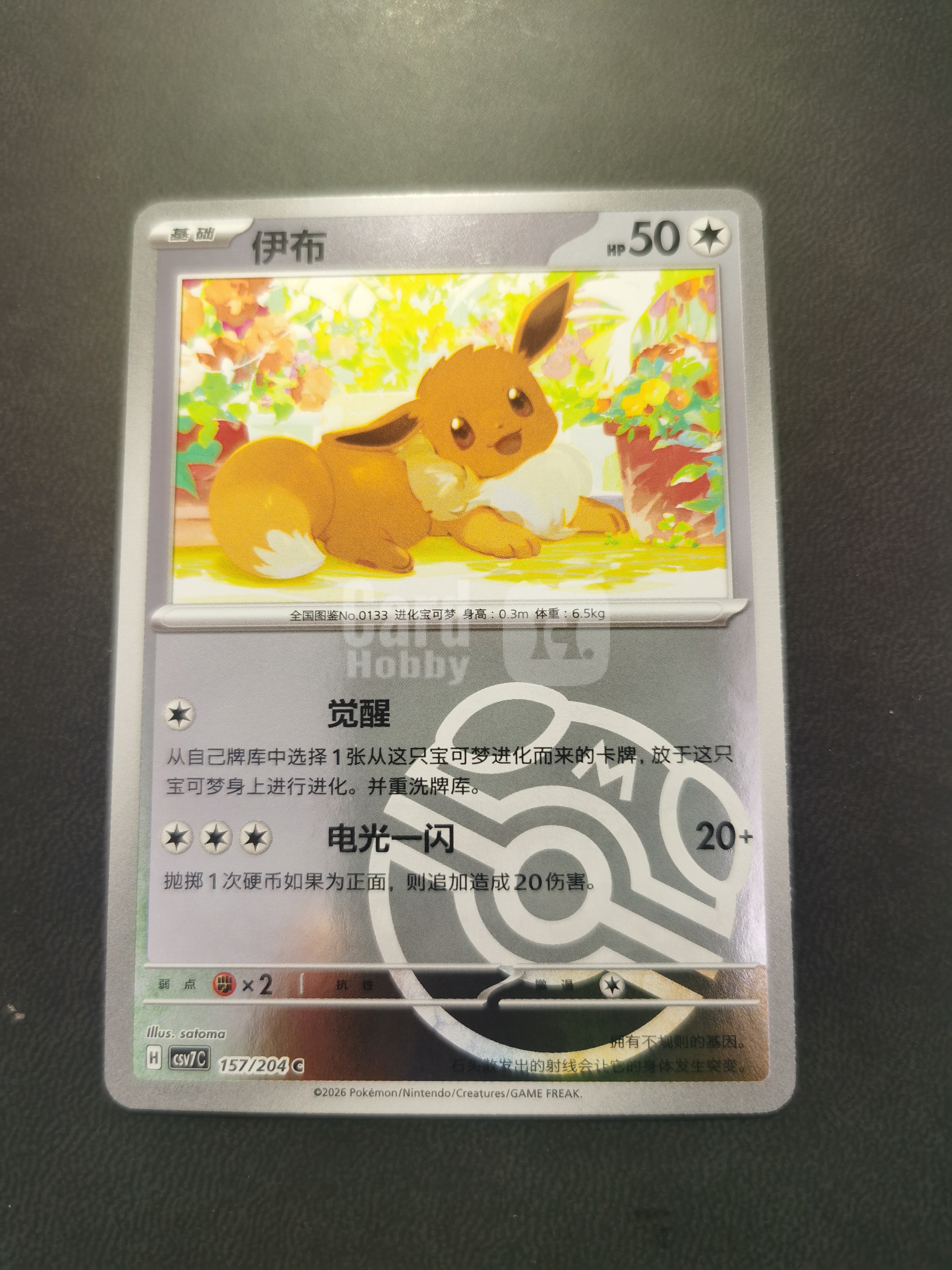 2026 Pokemon TCG PTCG 宝可梦 简中 chs csv7c 小伊布 大师球 闪卡 全图闪 专收必备 卡品具体如图 拍前细看备注