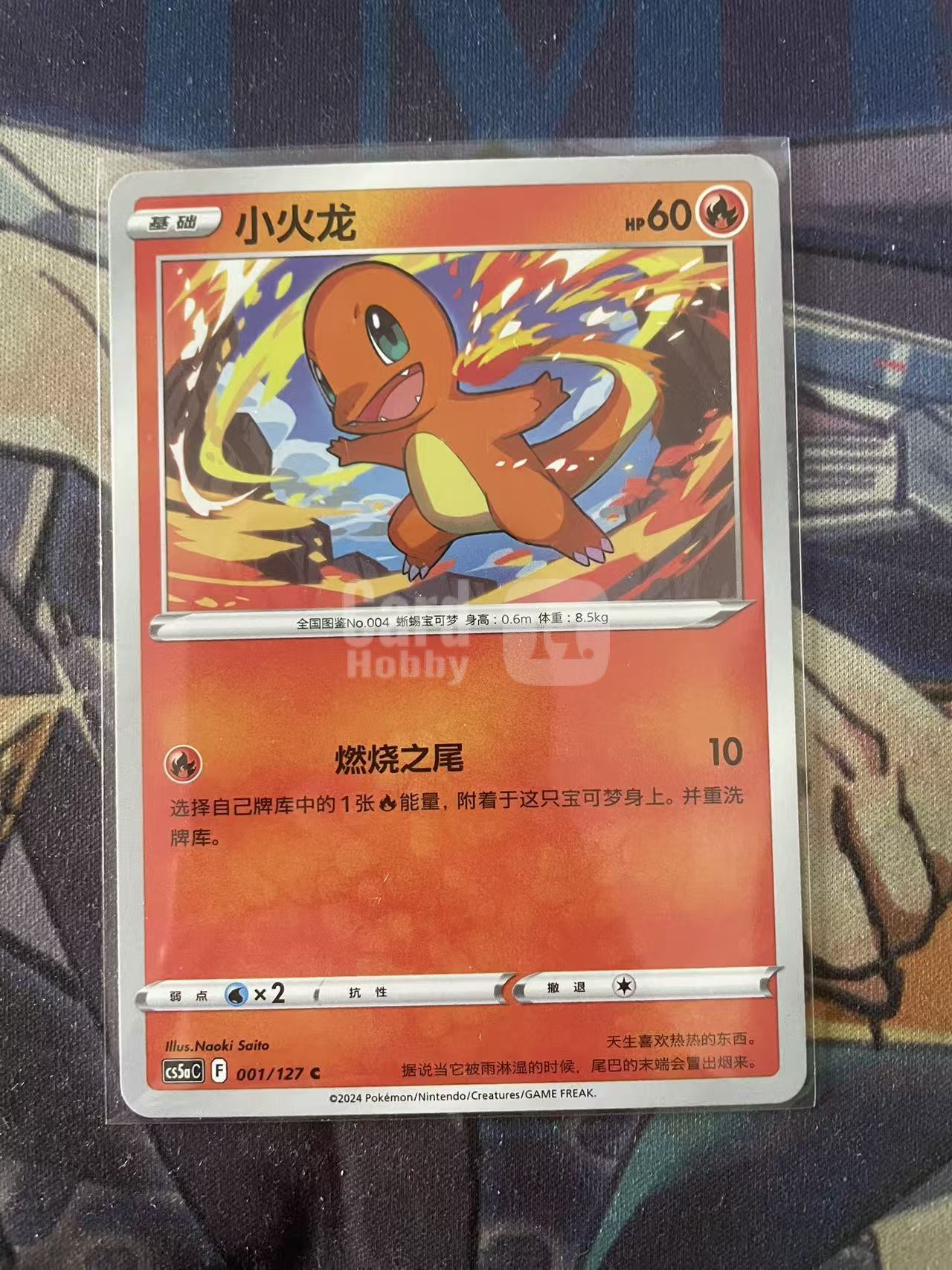 2024 Pokemon TCG 1 小火龙 chs 宝可梦 简中 木水拍卖 93