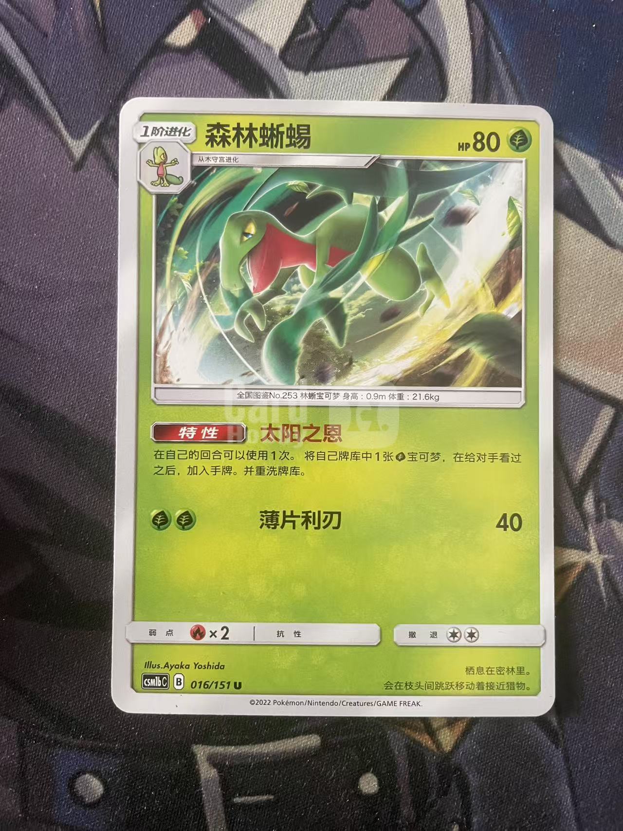 2024 Pokemon TCG 1 森林蜥蜴 有白角 chs 宝可梦 简中 木水拍卖 235
