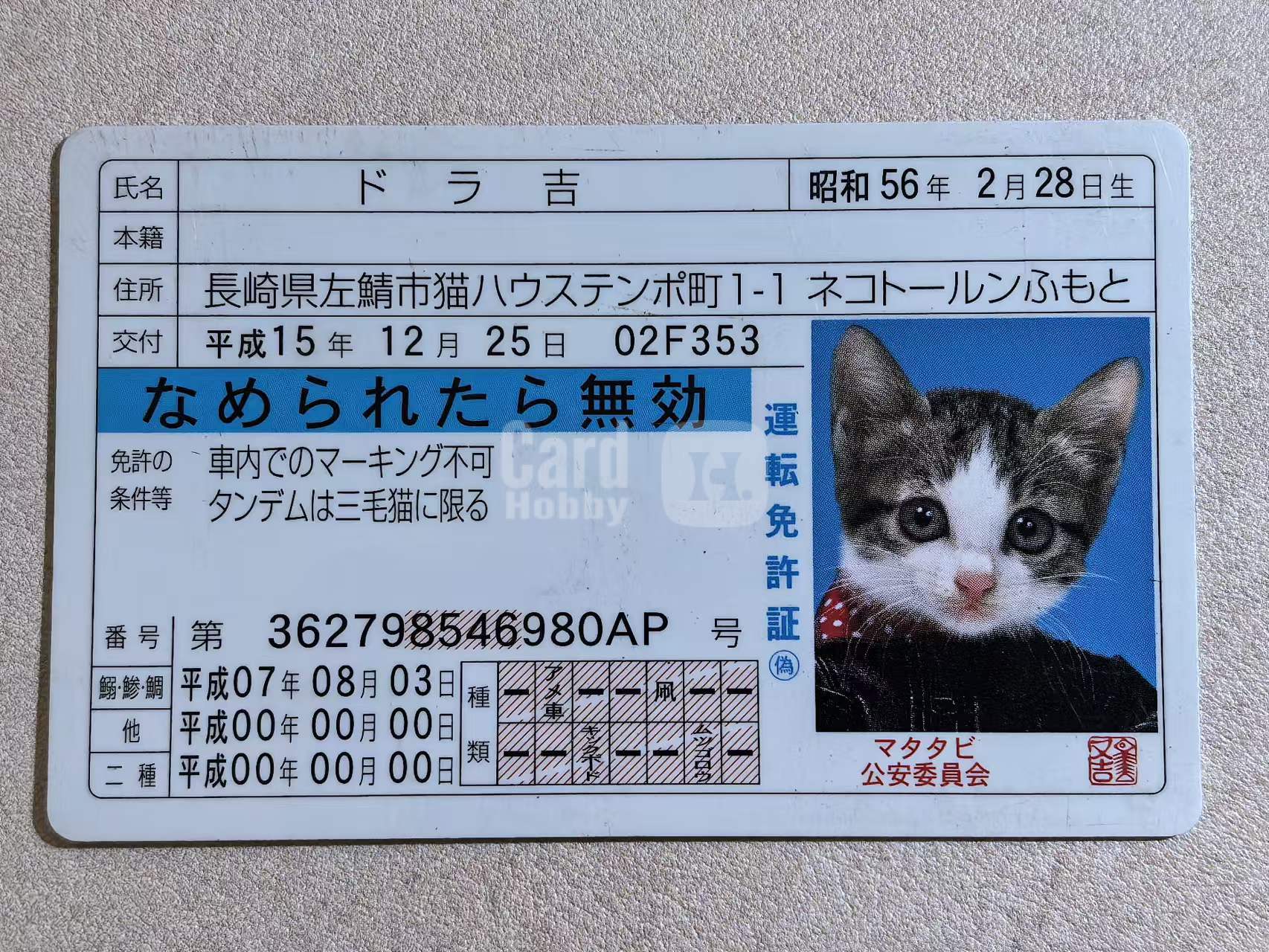SATORU TSUDA 津田悟 日版 “被舔即失效” 猫咪驾驶执照 多拉吉 默认有瑕 卡品如图
