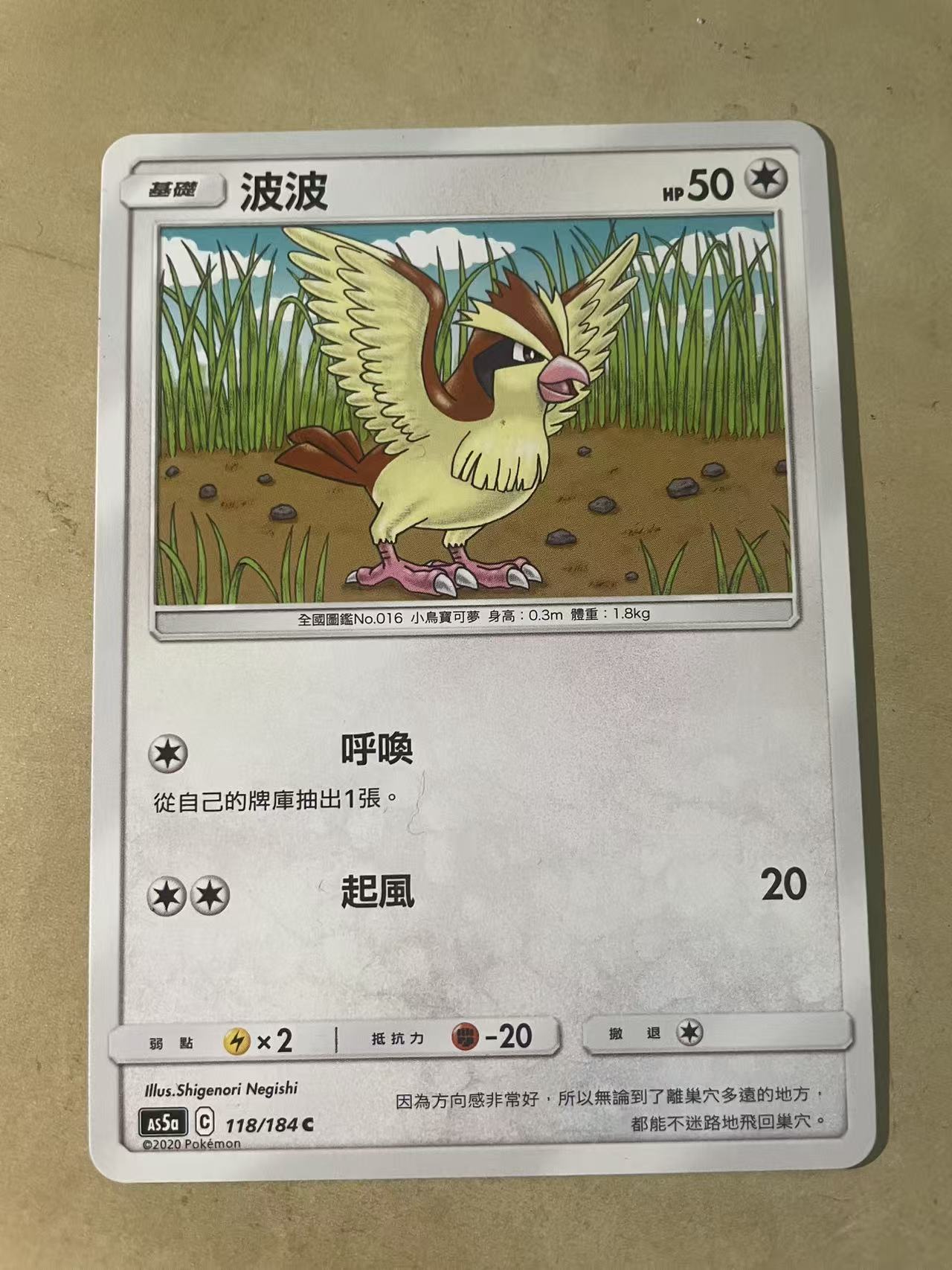 2024 Pokemon TCG 1 波波 cht 宝可梦 繁中 木水拍买第二百零二期