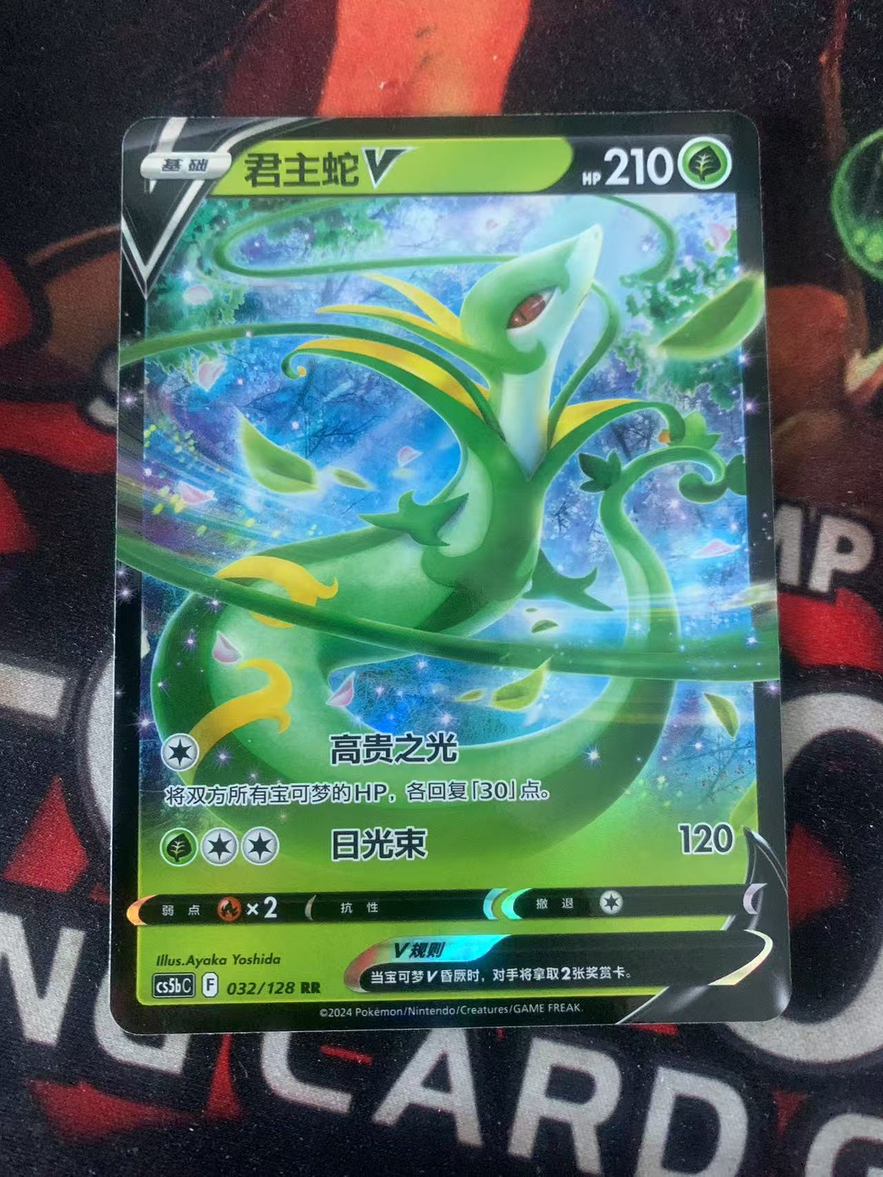 2024 Pokemon TCG 1 君主蛇V chs 宝可梦 简中 木水拍卖第一百一十期