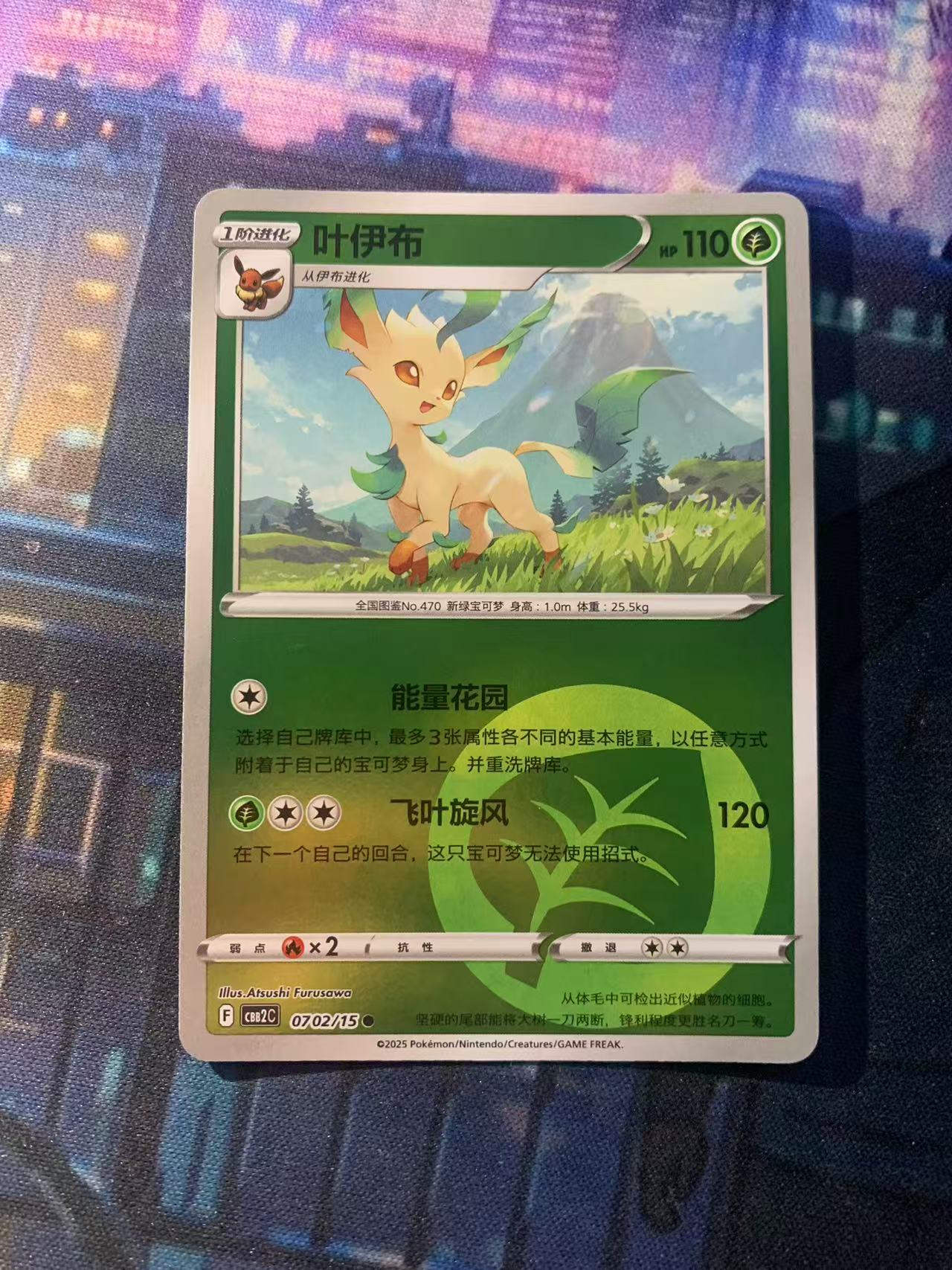 2024 Pokemon TCG 宝石包 叶伊布 球闪 chs 宝可梦 简中 木水拍卖第二百零四期