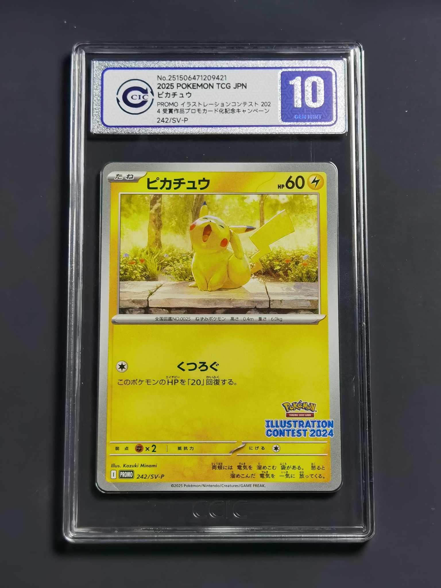 【太子拍卖】不累计 2025 PTCG 宝可梦 日版 热风竞技场 绘画大赛 哈欠皮 皮卡丘 CCIC10 完美品!此卡美品率超低 全速高涨中 错过拍大腿!