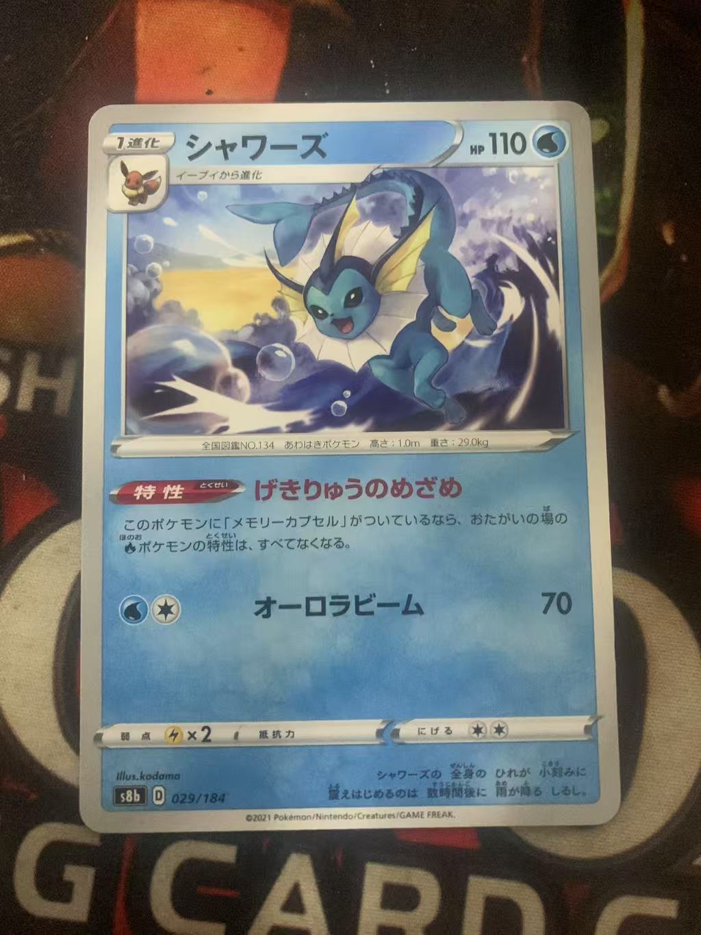 2024 Pokemon TCG 1 水伊布 ja 宝可梦 日文 日版 木水拍卖第一百六十一期