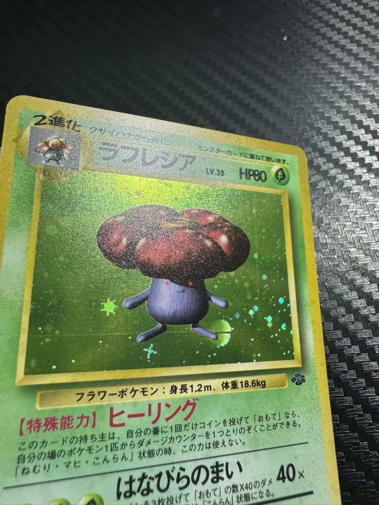 1997 Pokemon TCG Original Pokemon Jungle ラフレシア ja 霸王花 holo闪 OP2 老球背 初代 日版 宝可梦 收藏必备 卡品如图