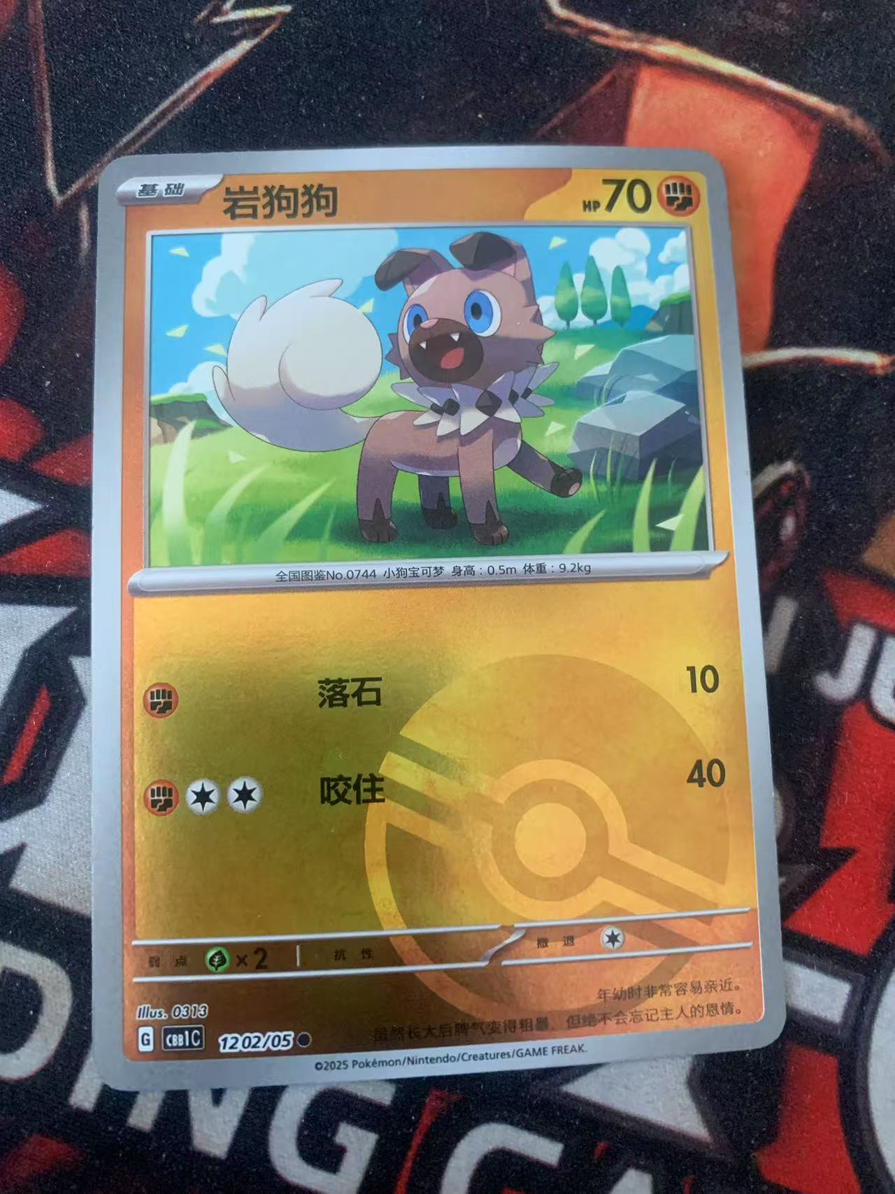 2025 Pokemon TCG 宝石包 Vol.1 岩狗狗 精灵球闪 chs 宝可梦 简中 木水拍卖第一百五十八期