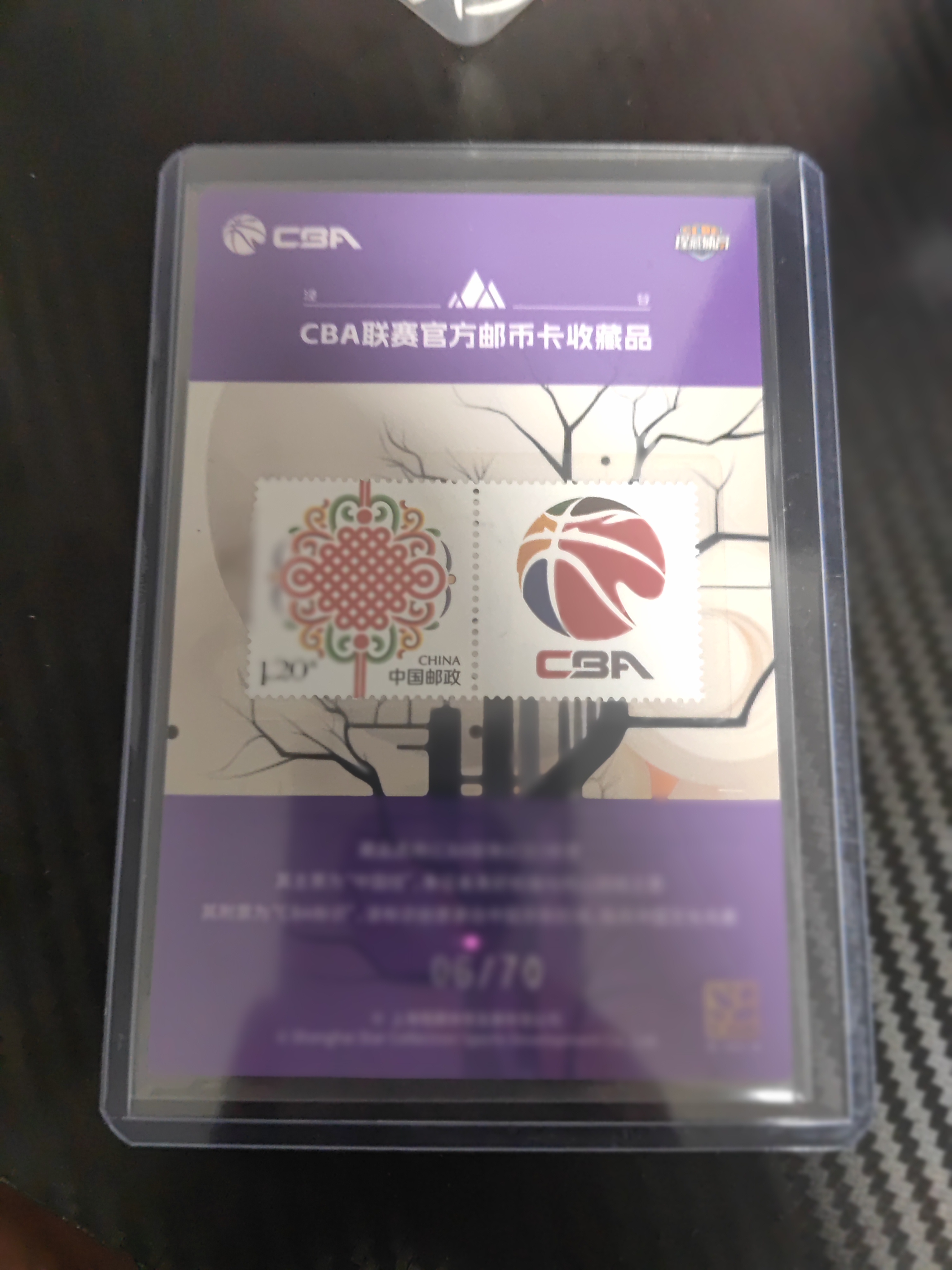 2023-24 上海瑆藏体育 泾谷系列 赵睿 2023-24 上海瑆藏体育 泾谷系列 赵睿 紫折 06/70编 卡品如图 收藏必备