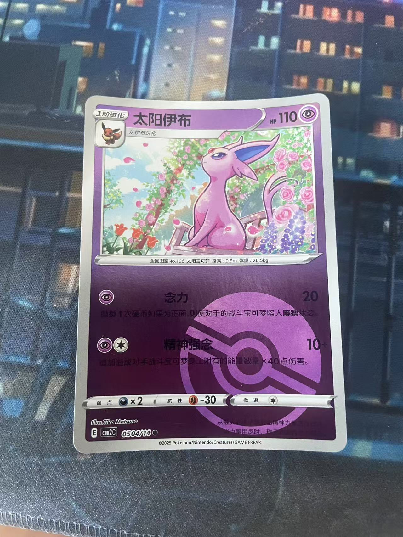 2024 Pokemon TCG 1 太阳伊布 球闪 chs 宝可梦 简中 木水拍卖第二百十一期