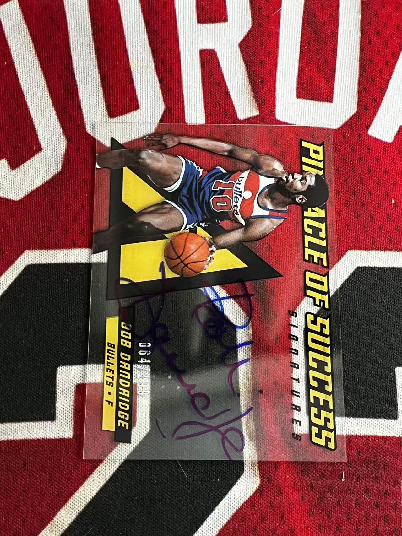 【接寄拍】2013-14 PANINI PINNACLE 顶峰/巅峰系列 奇才名宿 鲍勃丹德里奇 199编 签字卡 卡签 全签 胶片卡签 专收凑套必备【烂臭嘴拍卖】