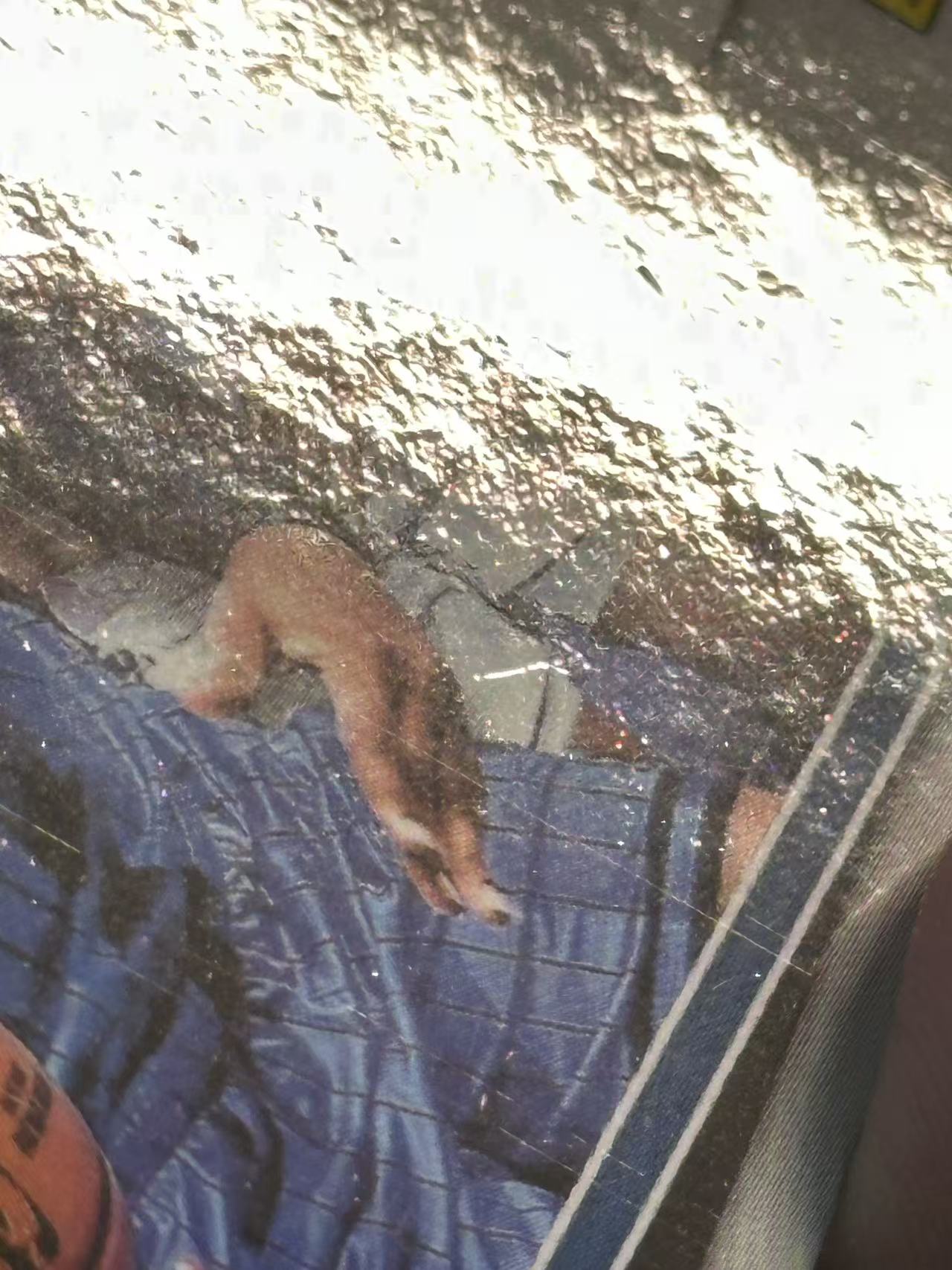 2024-25 Panini Prizm Black Paolo Banchero 【欧卡体育】pz 保罗 班切罗 班凯罗 签字 SS签 魔术 轻印如图(YDD)