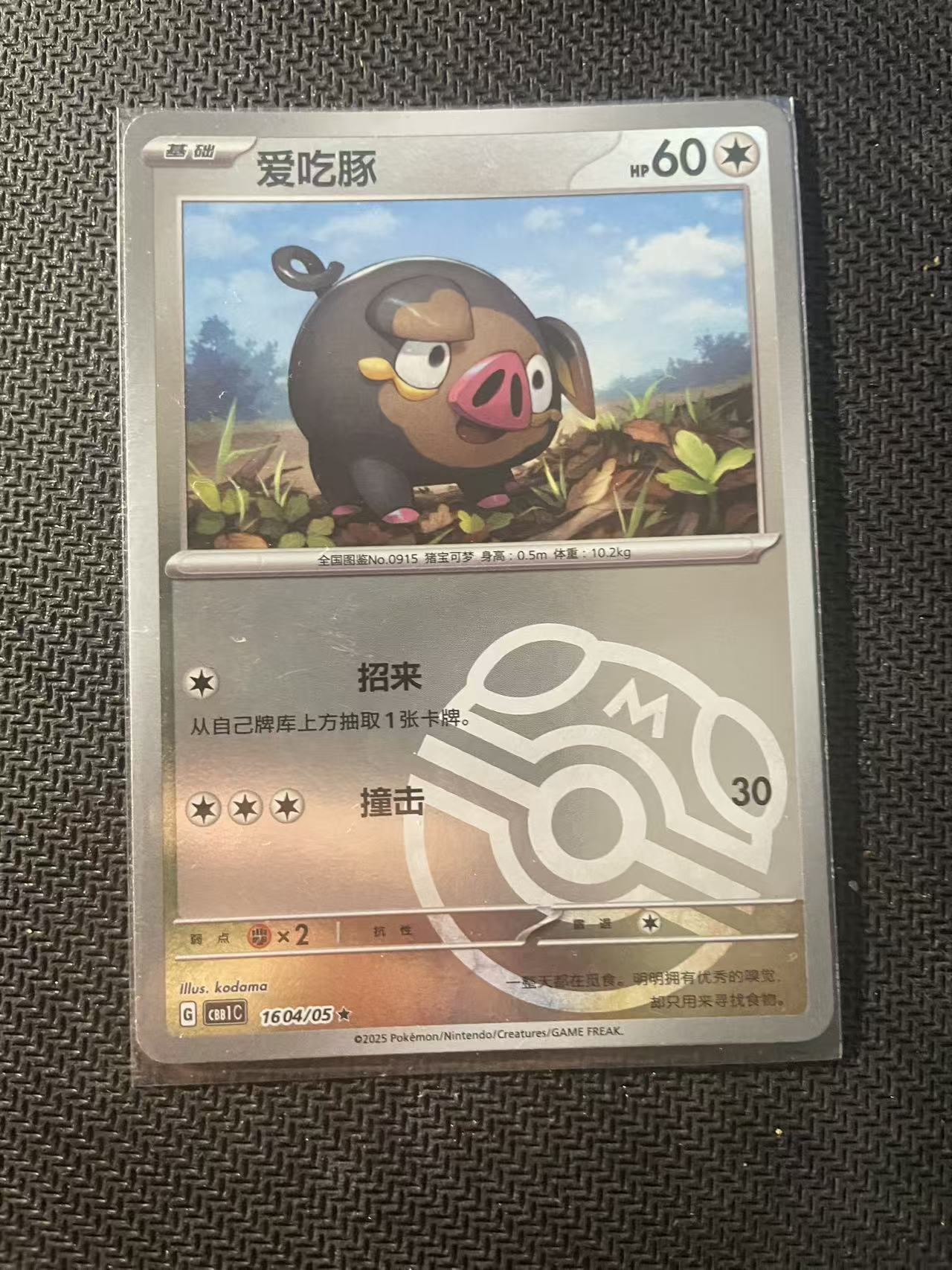 2024 Pokemon TCG 1 爱吃豚 大师球闪 chs 宝可梦 简中 木水拍卖第二百三十一期