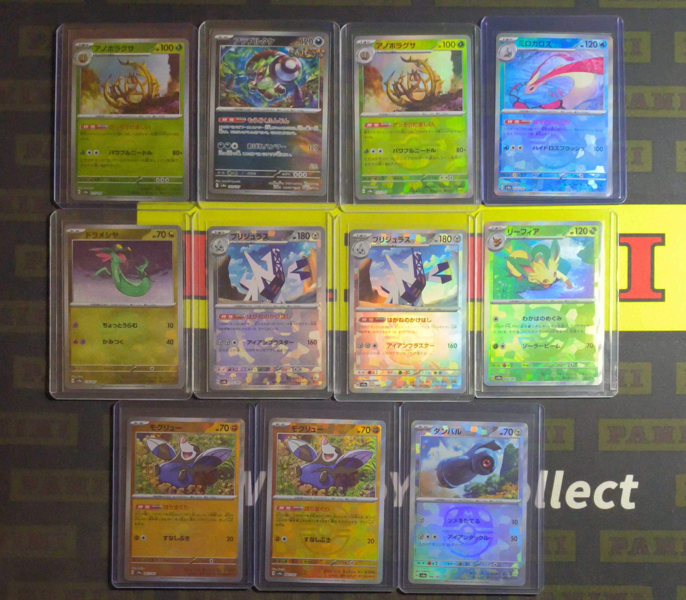 宝可梦 日版 大师球闪 闪卡 全图闪 11张lot(Kevin wu)