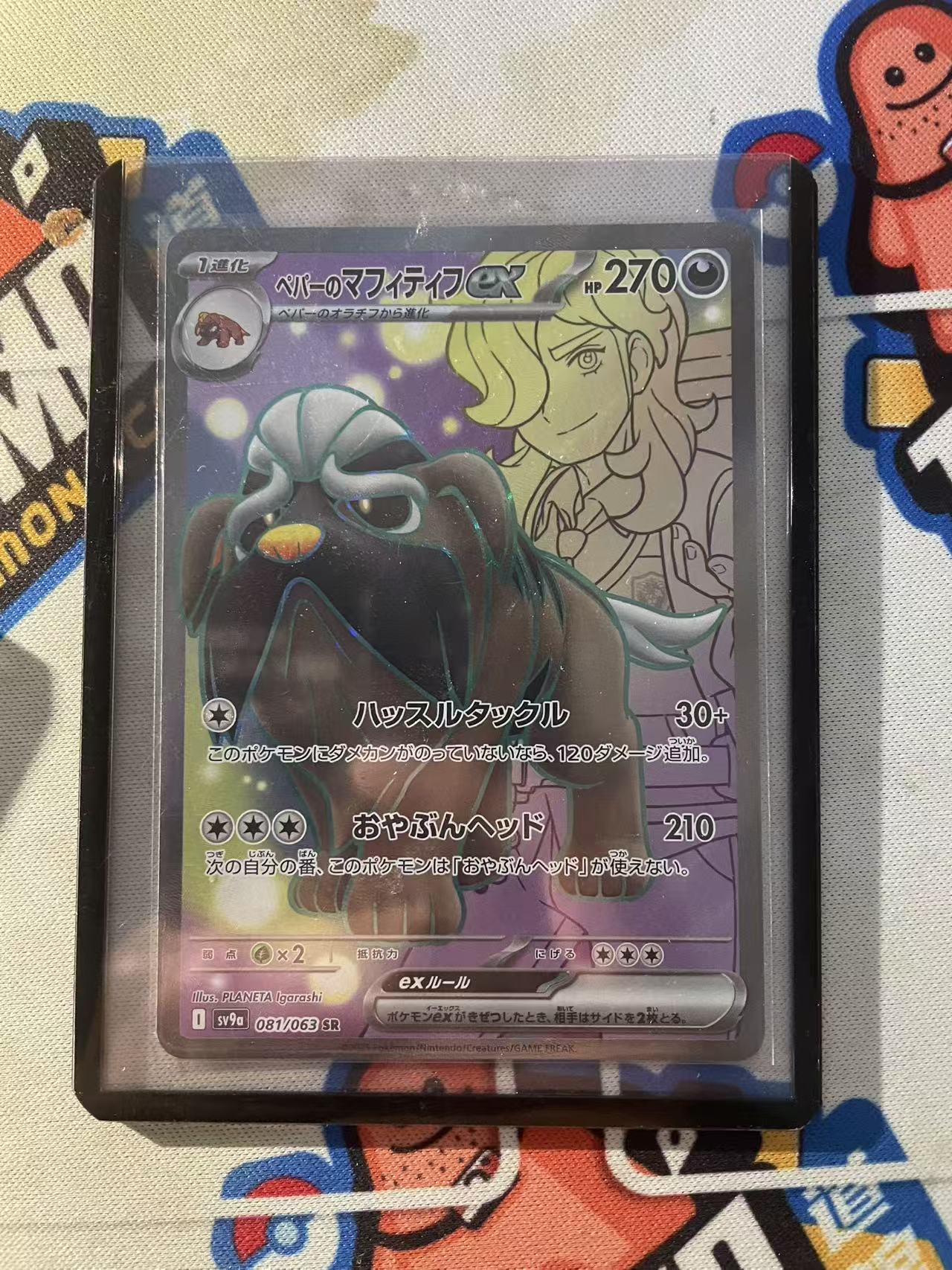2024 Pokemon TCG 1 派帕的藏獒 ex sr ja 宝可梦 日文日版 木水拍卖 HAZY