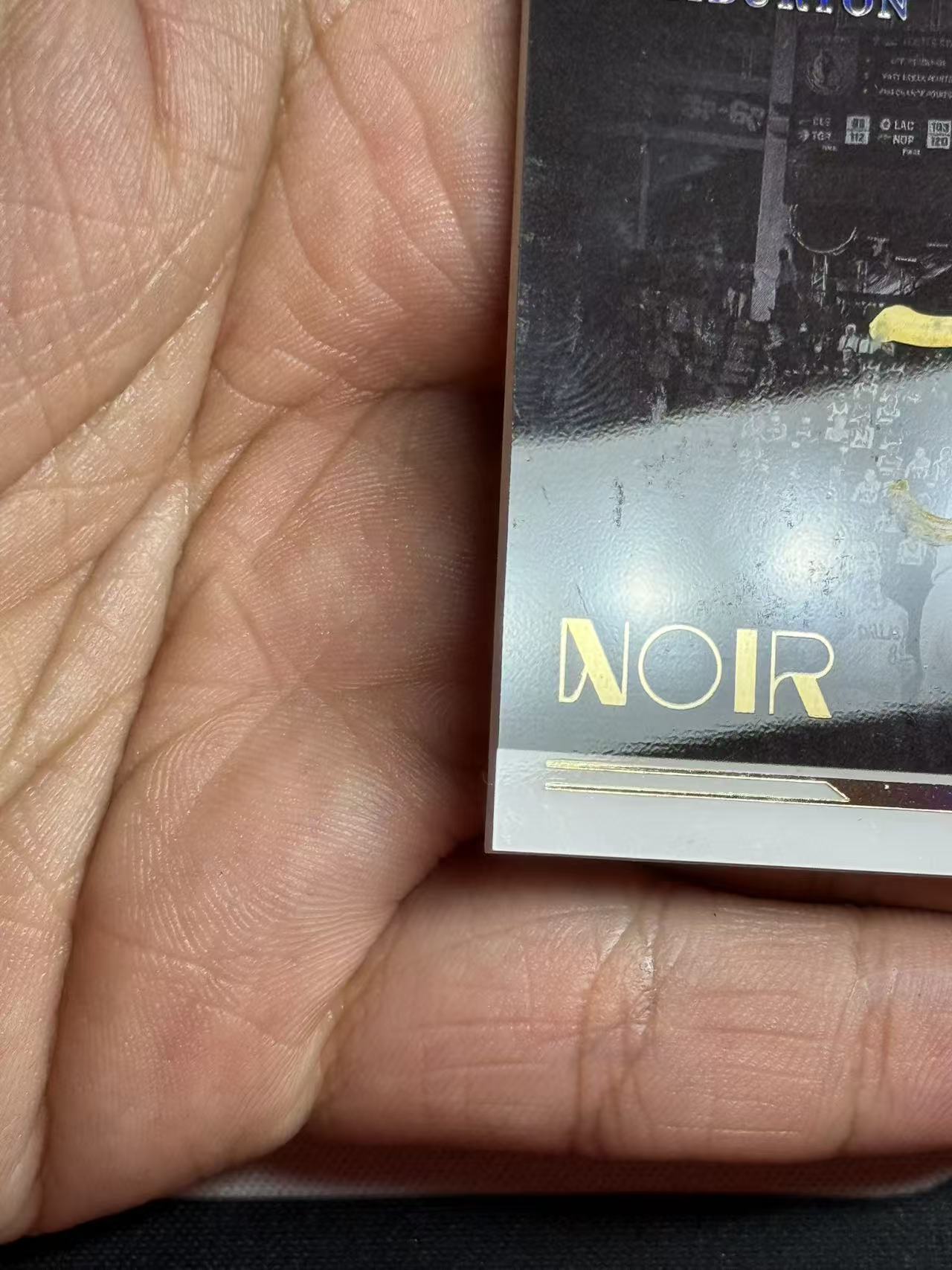 2021-22 Panini Noir Tyrese Haliburton 【小来】泰雷塞 哈利伯顿 哈利波特 步行者 国王皮 横版 聚光灯 金笔签 99编 瑕疵墨迹如图 专收凑套必备