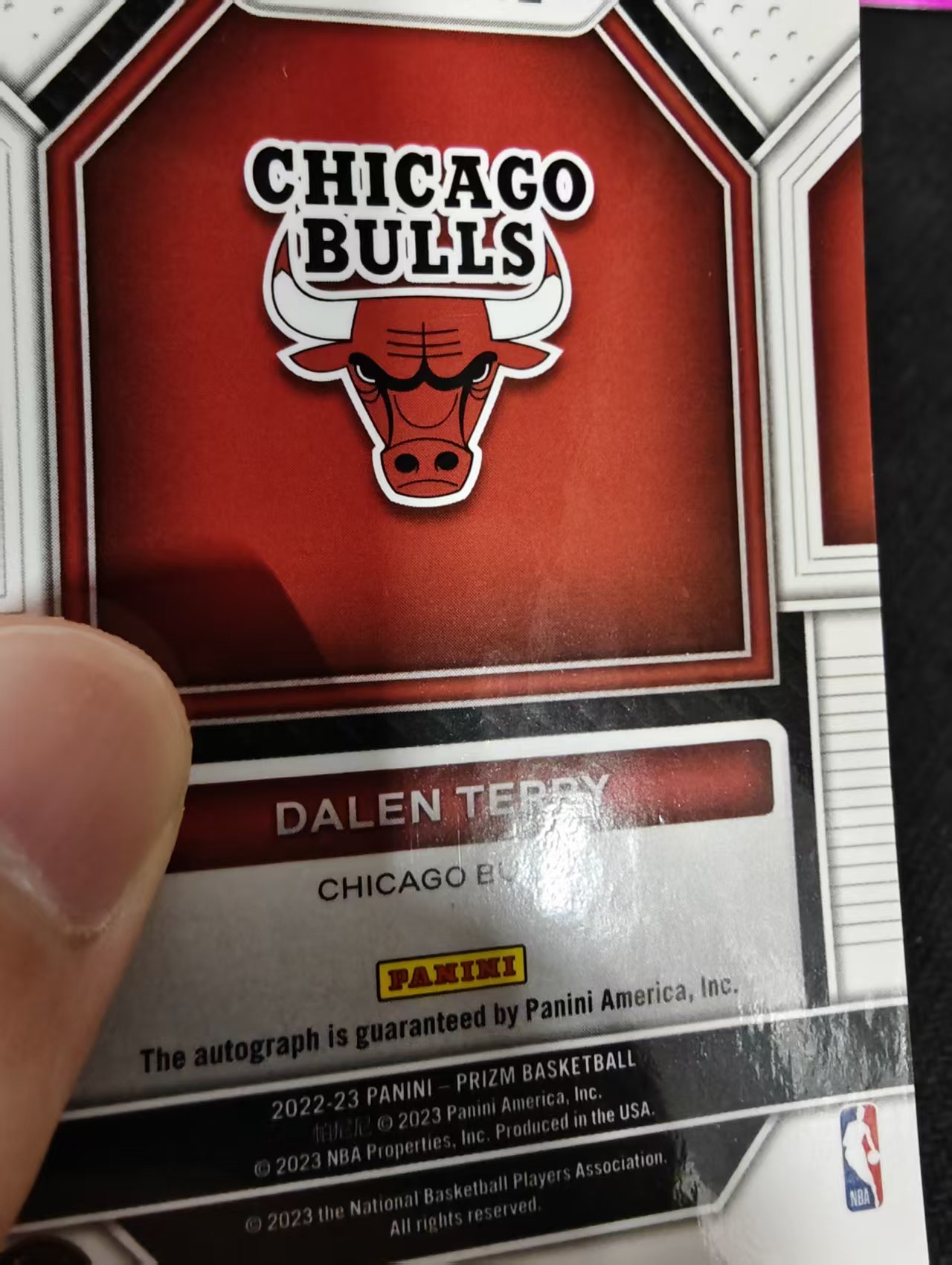 2022-23 Panini Prizm Dalen Terry RC 达伦 特里 新秀 签字 新秀签 公牛队 瑕疵如图