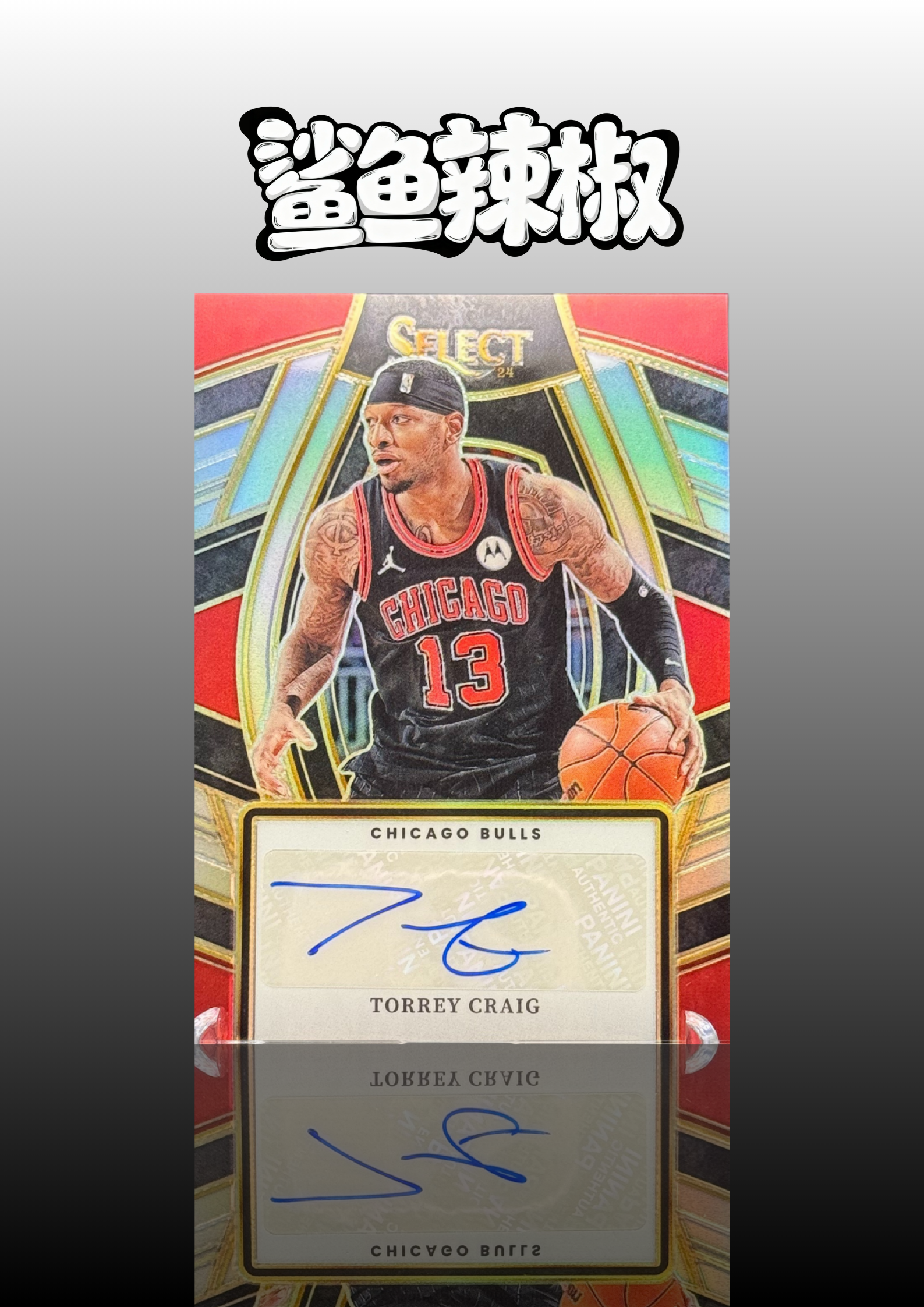 2023-24 Panini Select Torrey Craig 【鲨鱼辣椒 免费代拍】托瑞 克雷格 公牛 签字 贴签 折射 银折 #Tzy