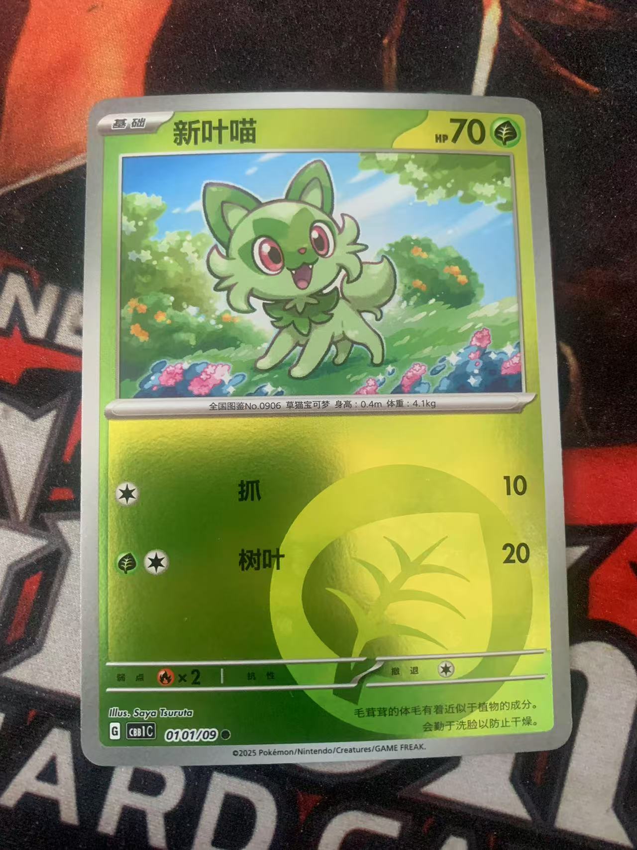 2025 Pokemon TCG 宝石包 Vol.1 新叶喵 球闪 chs 宝可梦 简中 木水拍卖第一百五十八期
