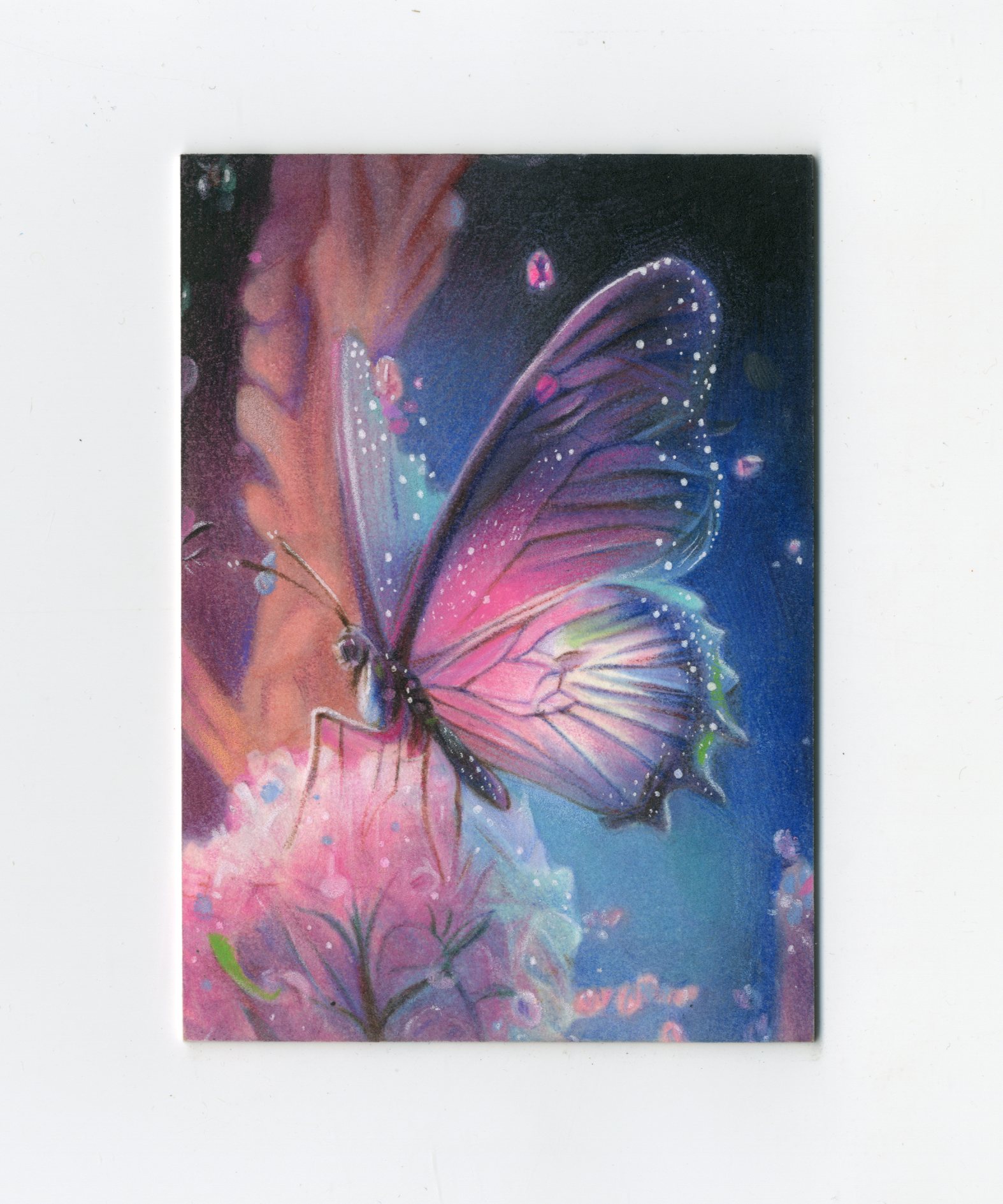 【Jackie杰基拍卖】荼蘼工作室 蝴蝶 手绘卡 1/1 画师:妃(灯塔)