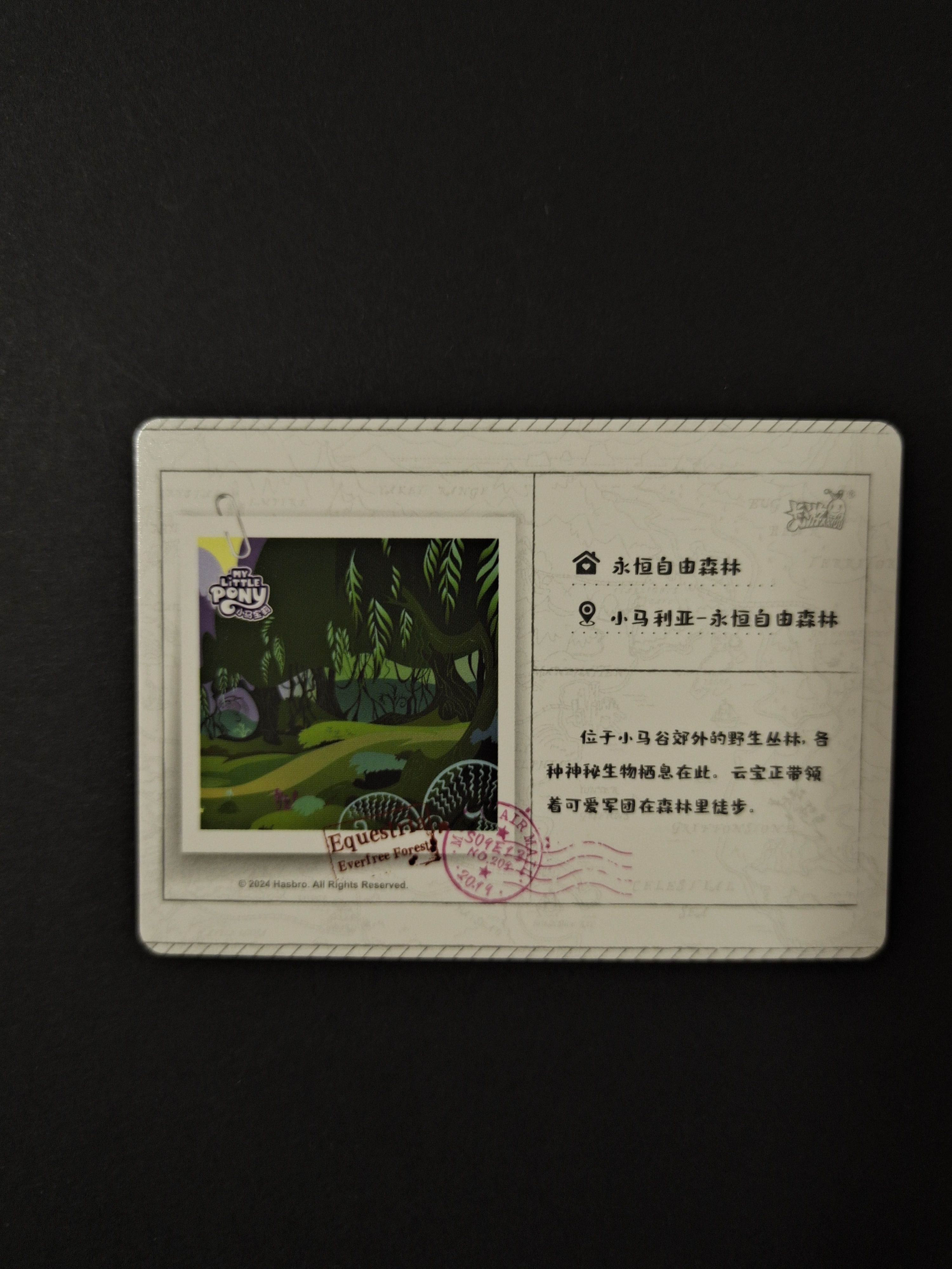 卡游 小马宝莉 My Little Pony Friendship is Magic 永恒自由森林 YH-N02-020