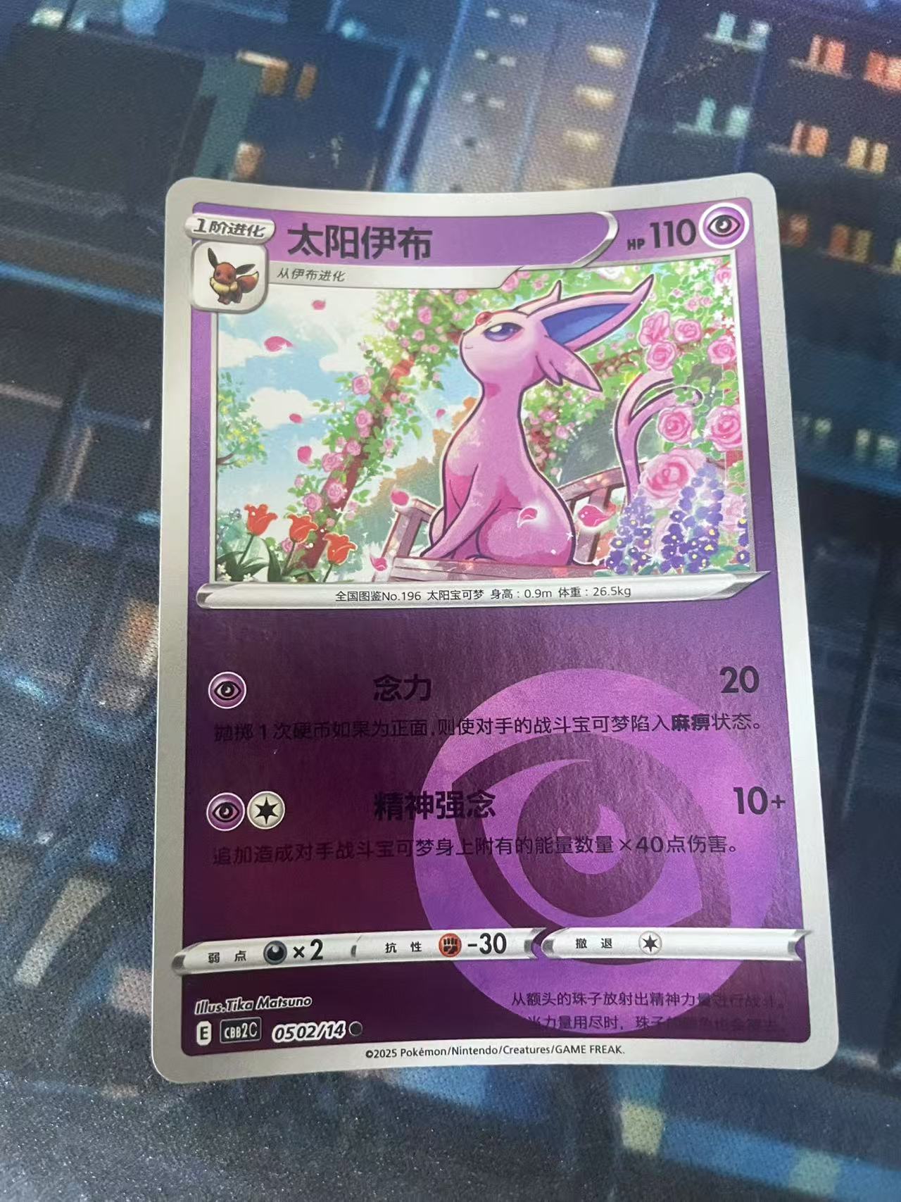 2024 Pokemon TCG 1 太阳伊布 球闪 chs 宝可梦 简中 木水拍卖第二百十一期