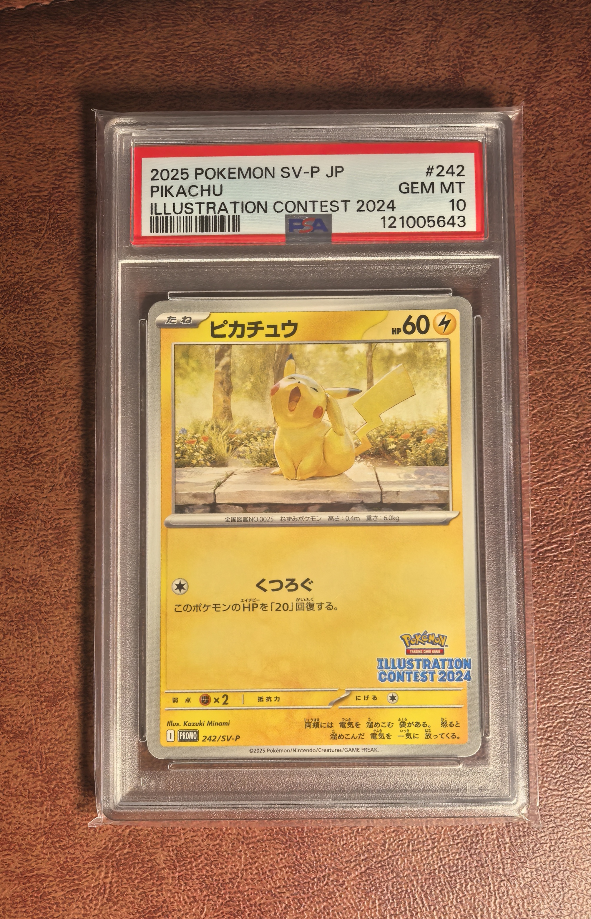 2025 Pokemon TCG 特典 皮卡丘 ja 日版 ptcg 哈欠皮 psa10分 人气宝可梦 只发默认请看描述【Y】