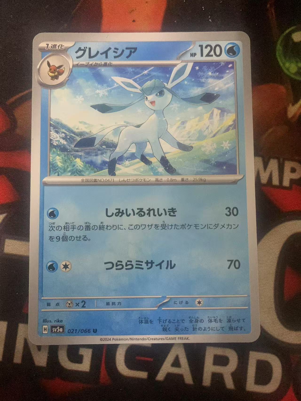 2024 Pokemon TCG 1 冰伊布 ja 宝可梦 日文 日版 木水拍卖第一百六十一期