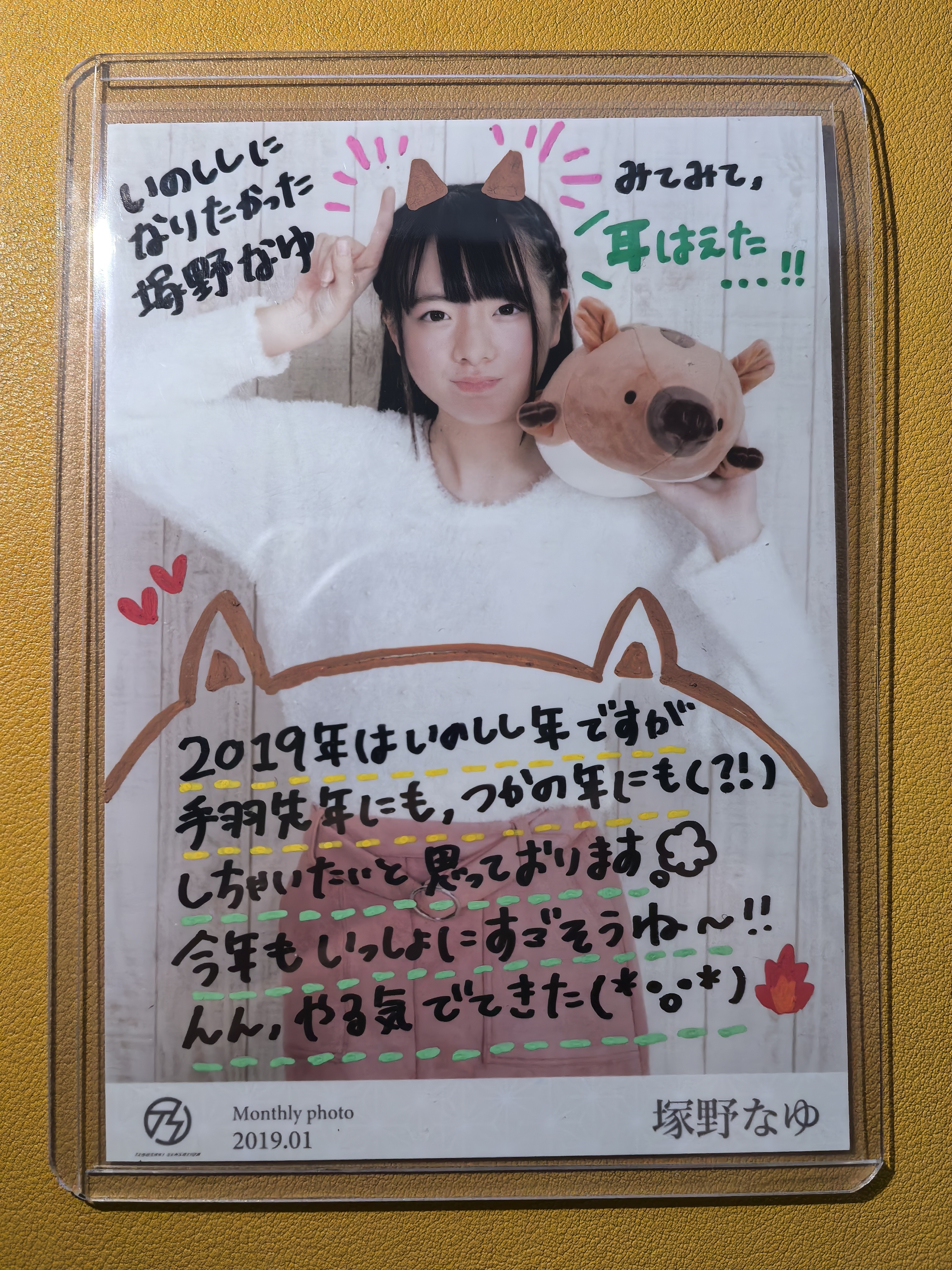 日本偶像艺人【日本代购】塚野 大张寄语签字 实卡超好看绝版稀有美女车模妹卡