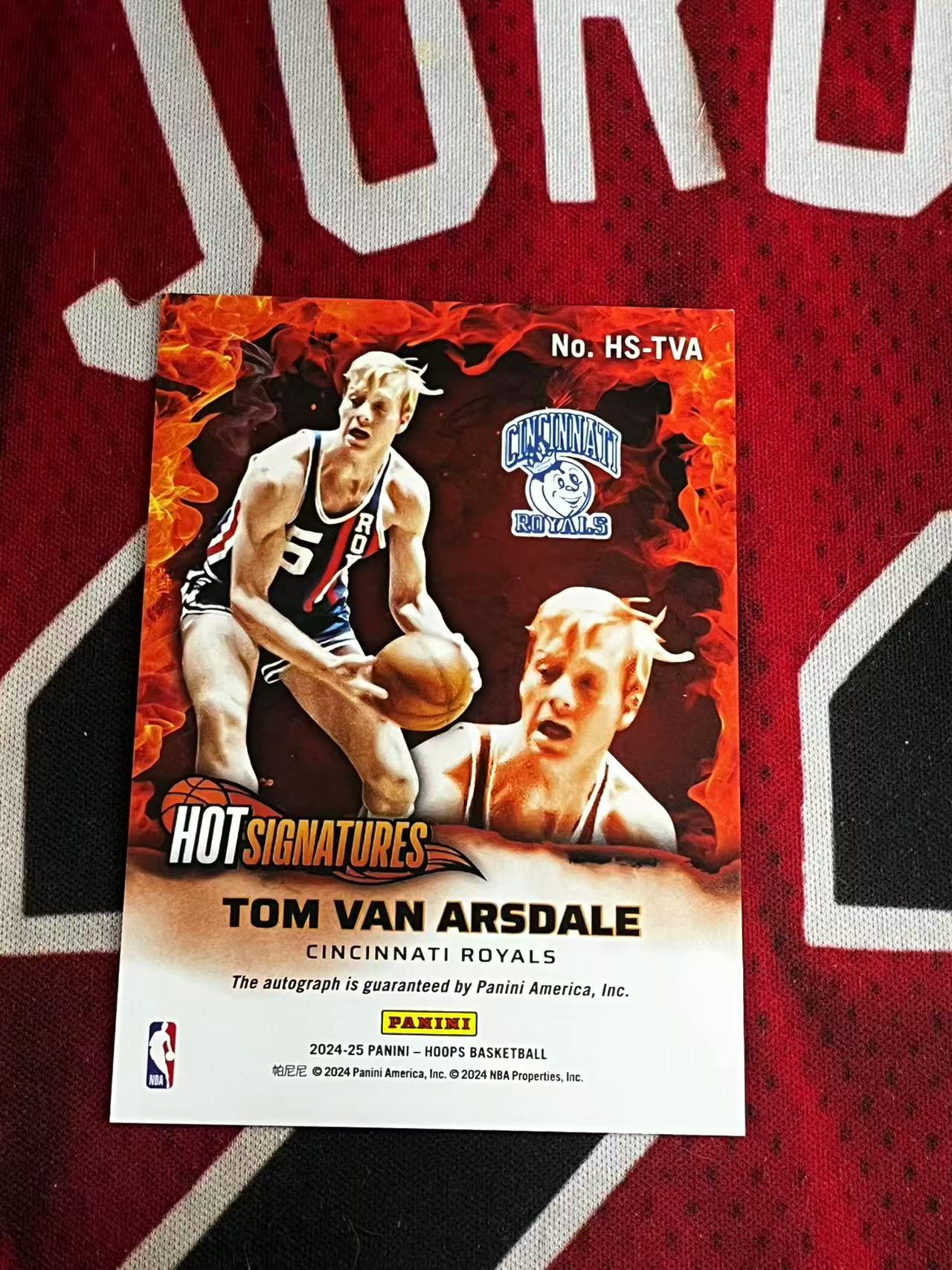 【接寄拍】2024-25 PANINI HOOPS 掘金名宿 汤姆范阿斯戴尔 签字卡 HOT签 银折 折射 专收凑套必备【烂臭嘴拍卖】