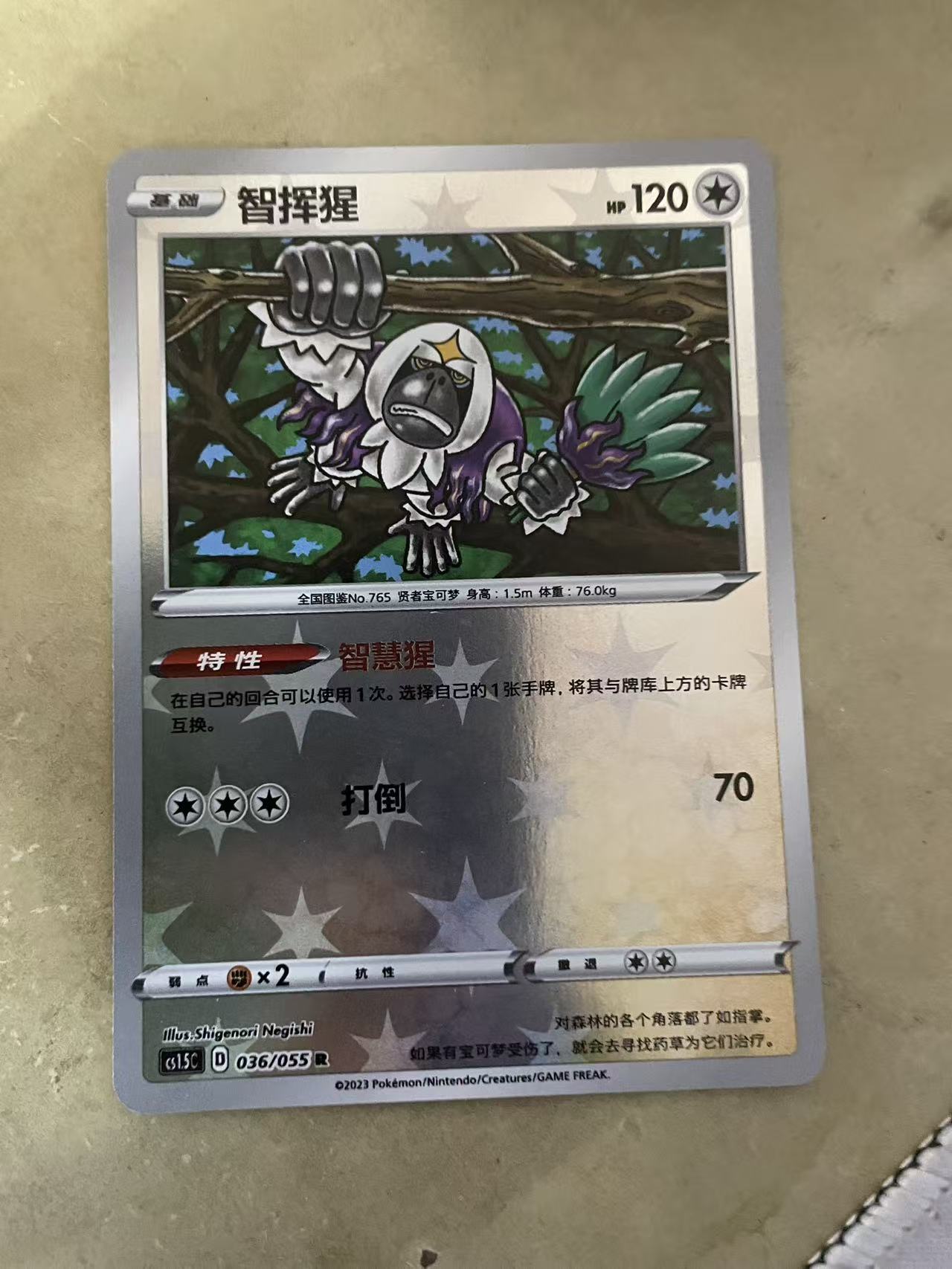 2024 Pokemon TCG 1 智挥猩 球闪 chs 宝可梦 简中 木水拍卖第二百二十五期