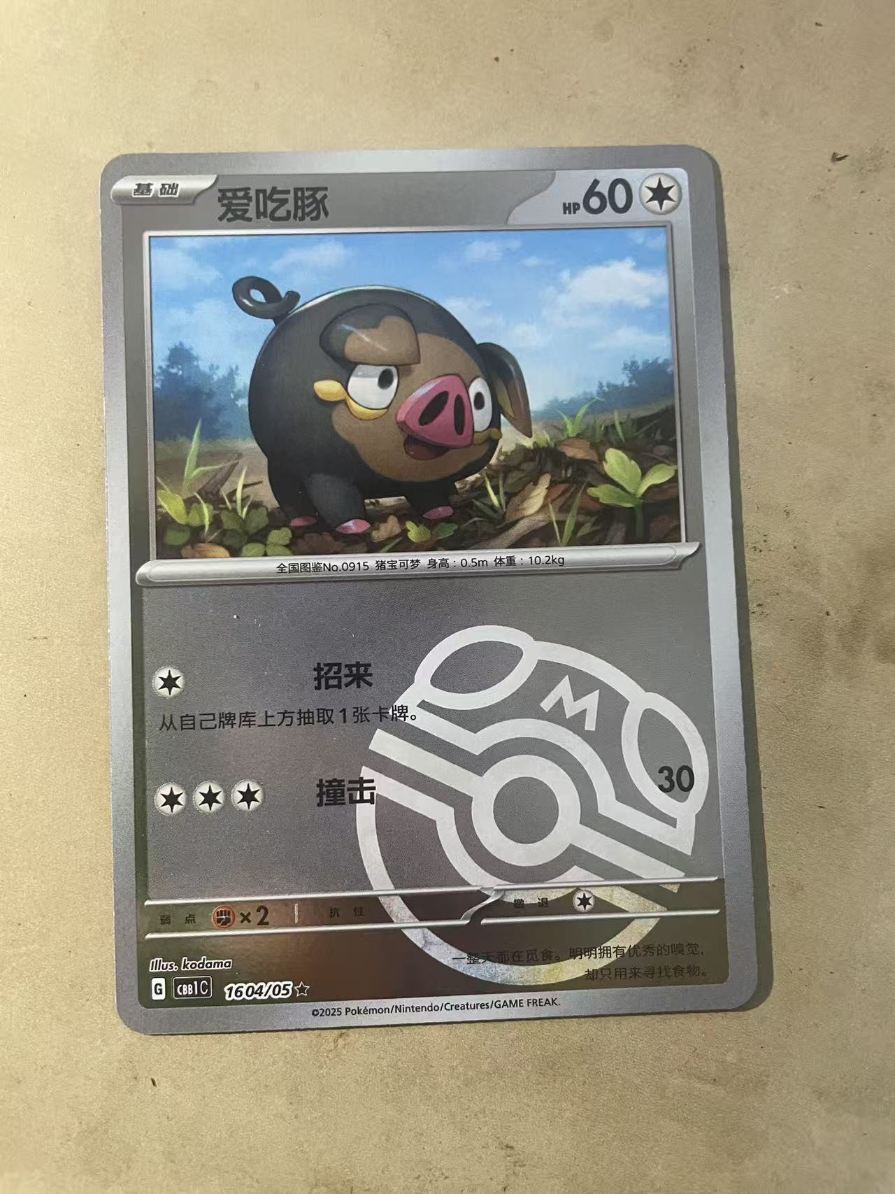 2024 Pokemon TCG 1 爱吃豚 大师球闪 chs 宝可梦 简中 木水拍卖第一百八十八期