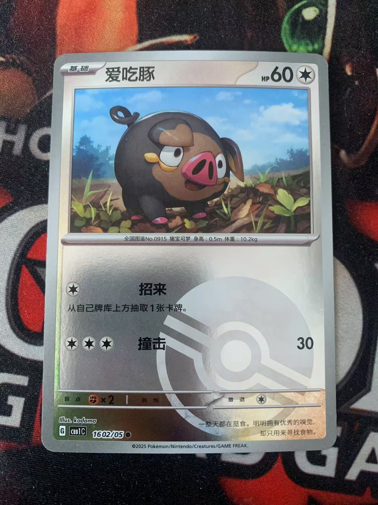 2024 Pokemon TCG 1 爱吃豚 精灵球闪 chs 宝可梦 简中 木水拍卖第一百五十九期