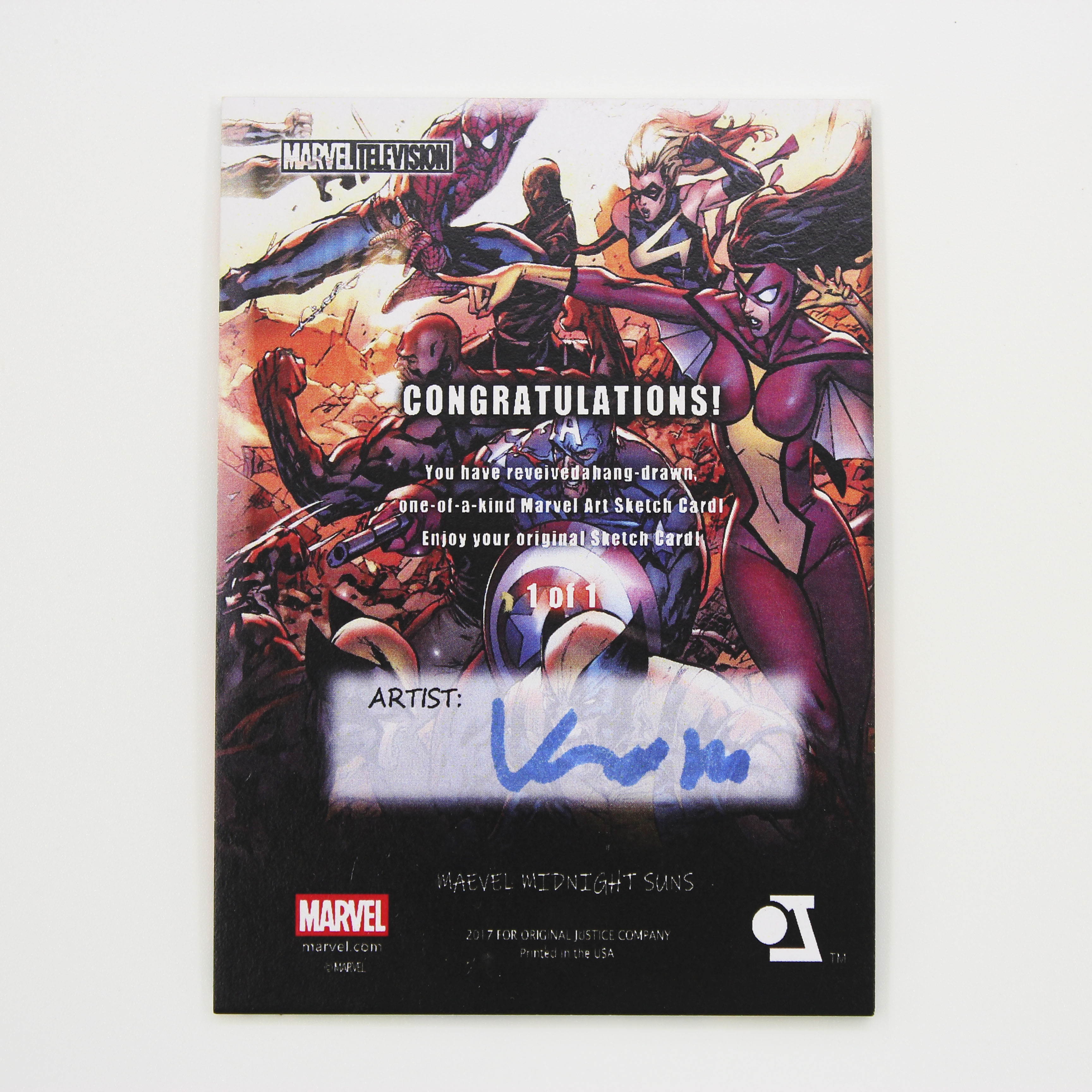 2017 Onyx Authenticated Marvel (MCU) Spider Man 漫威 复仇者联盟 小蜘蛛 蜘蛛侠 1/1 手绘 背面画师签字 【HOPE代卖(4.5%含卡淘)】