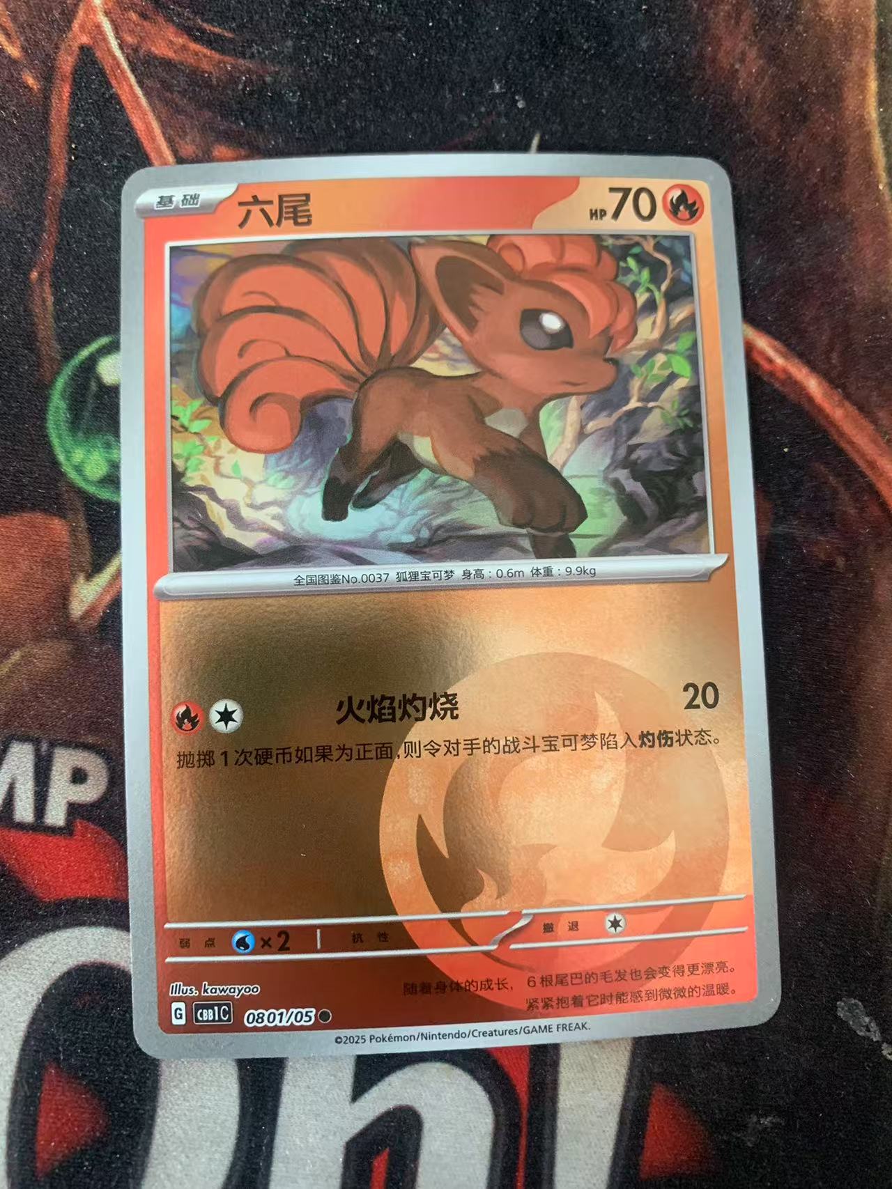 2024 Pokemon TCG 1 六尾 球闪 chs 宝可梦 简中 木水拍卖第一百五十六期