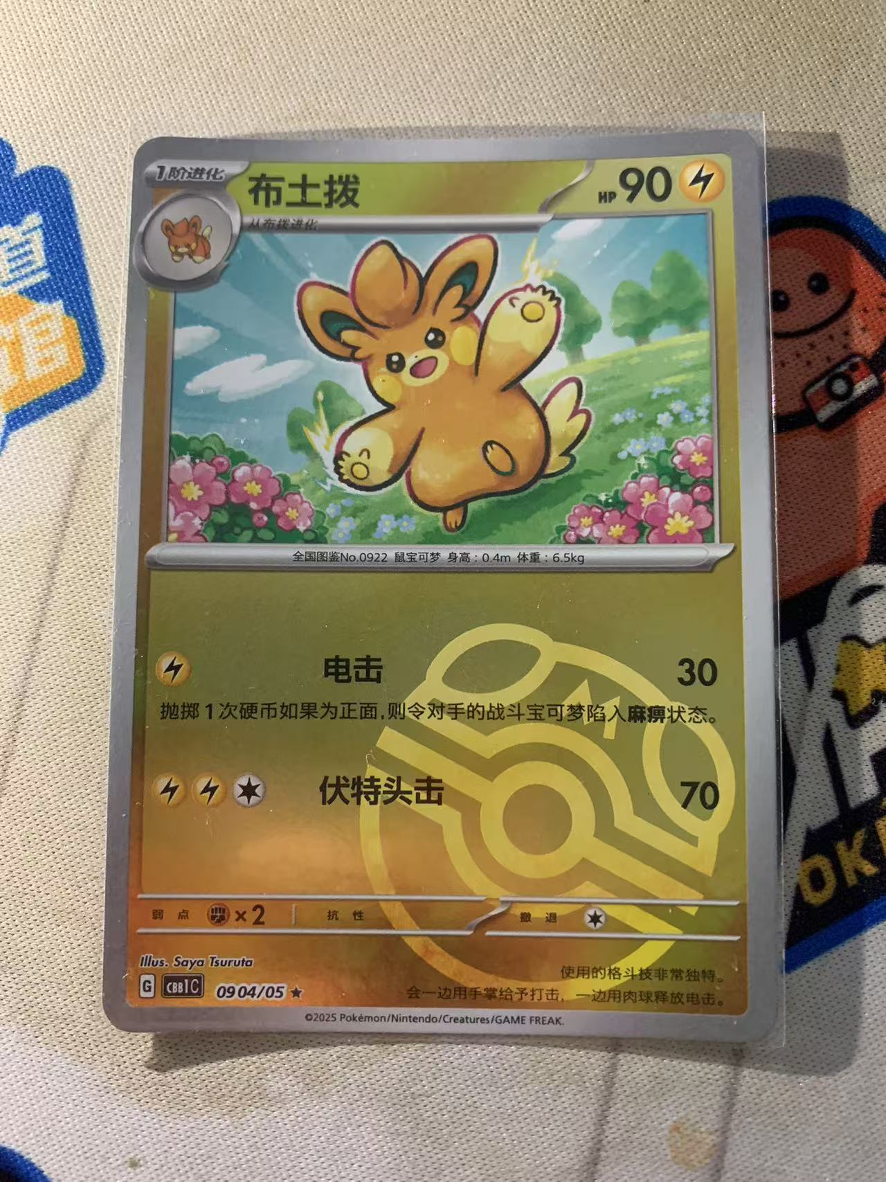 2024 Pokemon TCG 1 布土拨 大师球闪 chs 宝可梦 简中 木水拍卖第二百二十九期