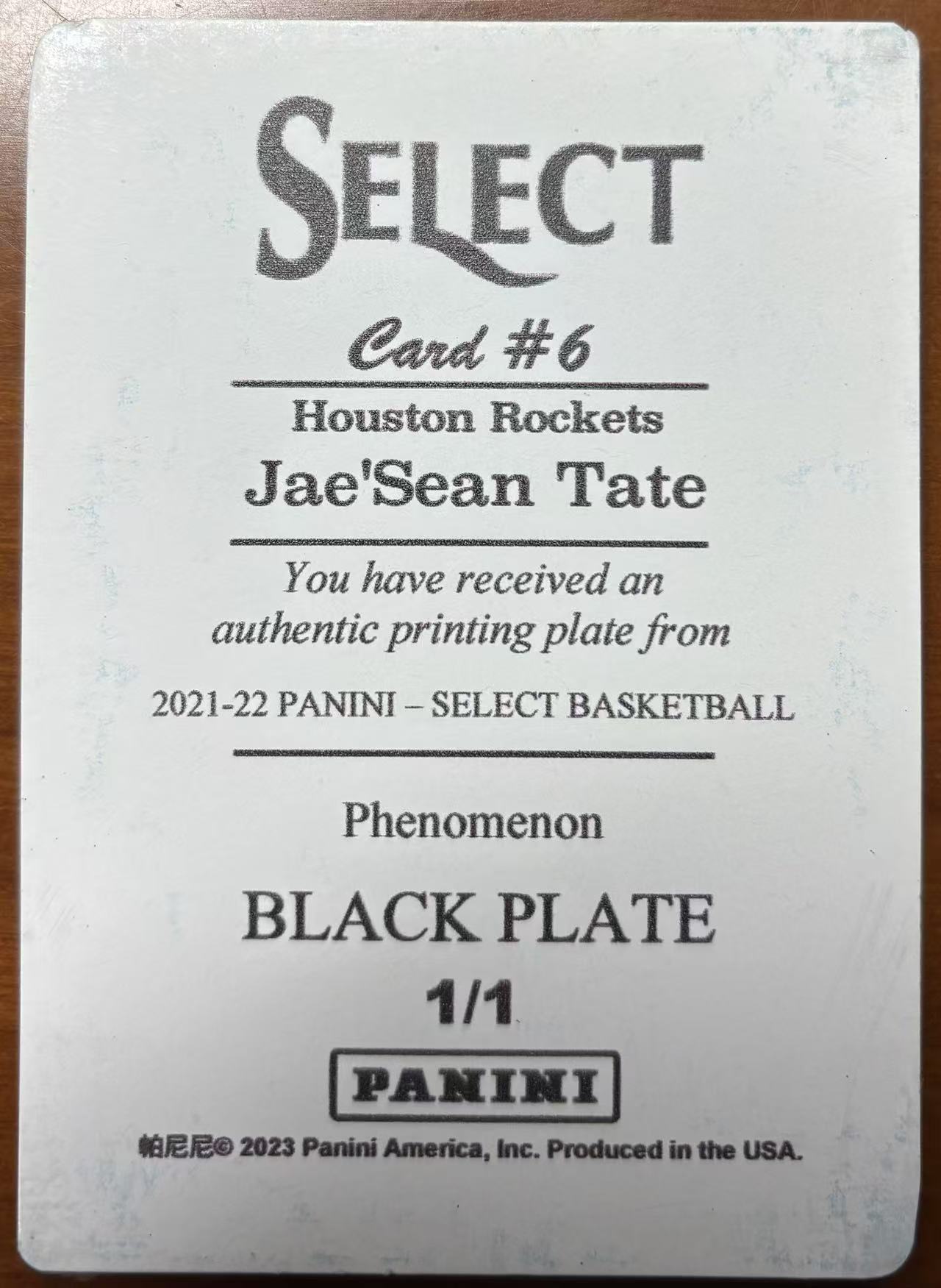 2021-22 Panini Select Jae'Sean Tate select 火箭 杰肖恩 泰特 1/1编 印刷模板 卡品如图