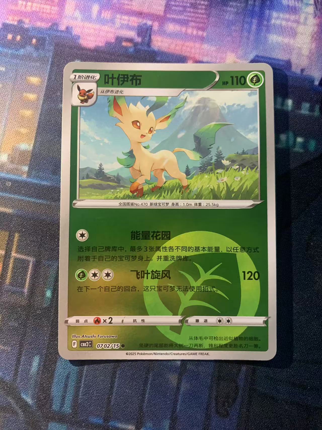 2024 Pokemon TCG 宝石包 叶伊布 球闪 chs 宝可梦 简中 木水拍卖第二百零四期