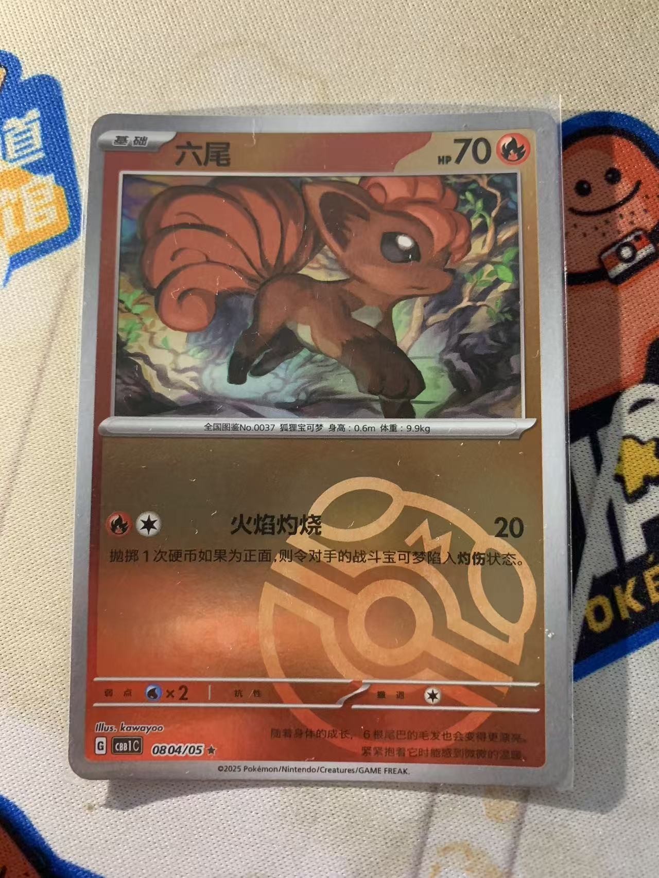 2024 Pokemon TCG 1 六尾 大师球闪 chs 宝可梦 简中 木水拍卖第二百二十九期