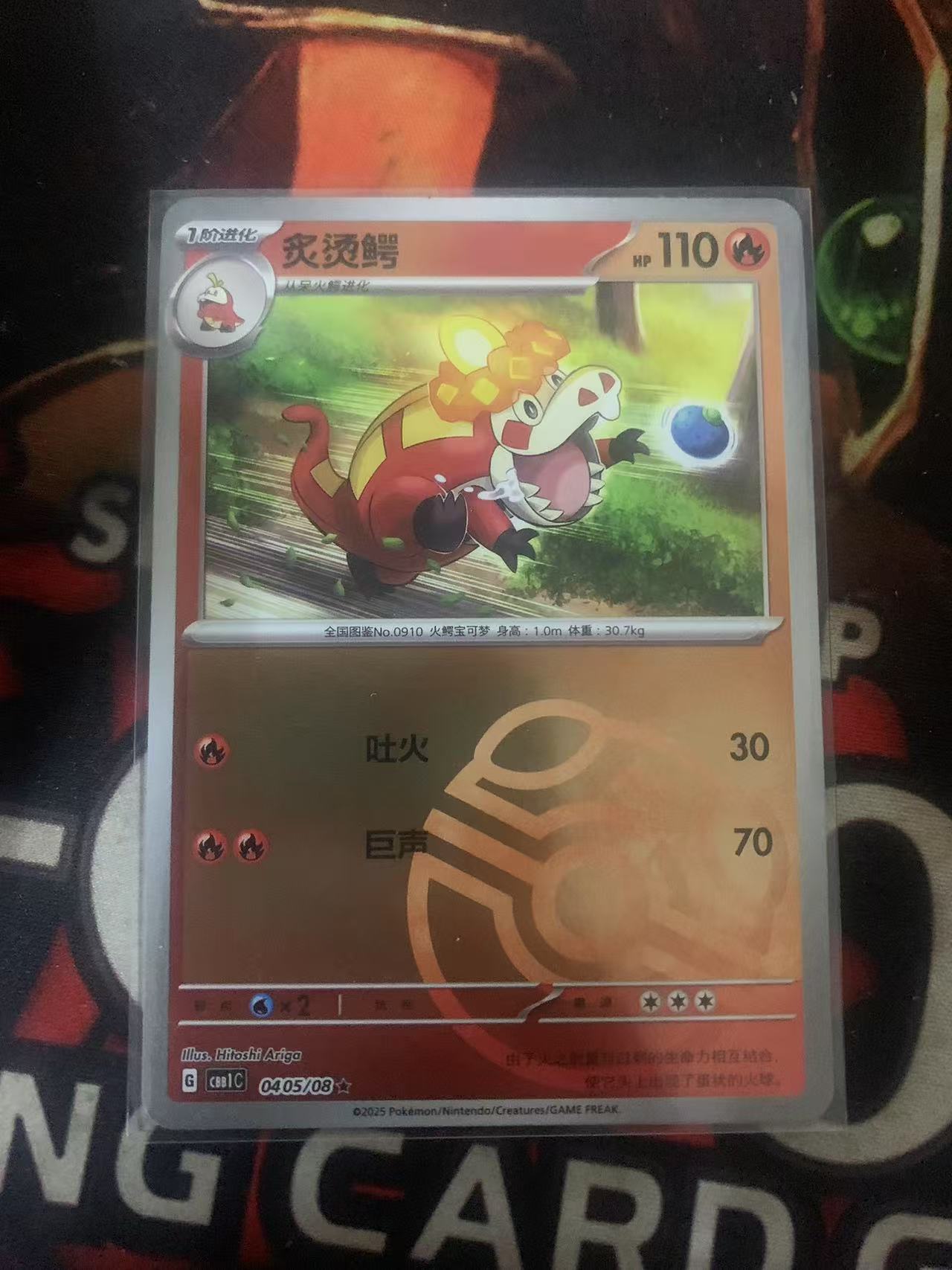 2024 Pokemon TCG 1 滚烫鳄 大师球闪 chs 宝可梦 简中 木水拍卖第一百七十二期