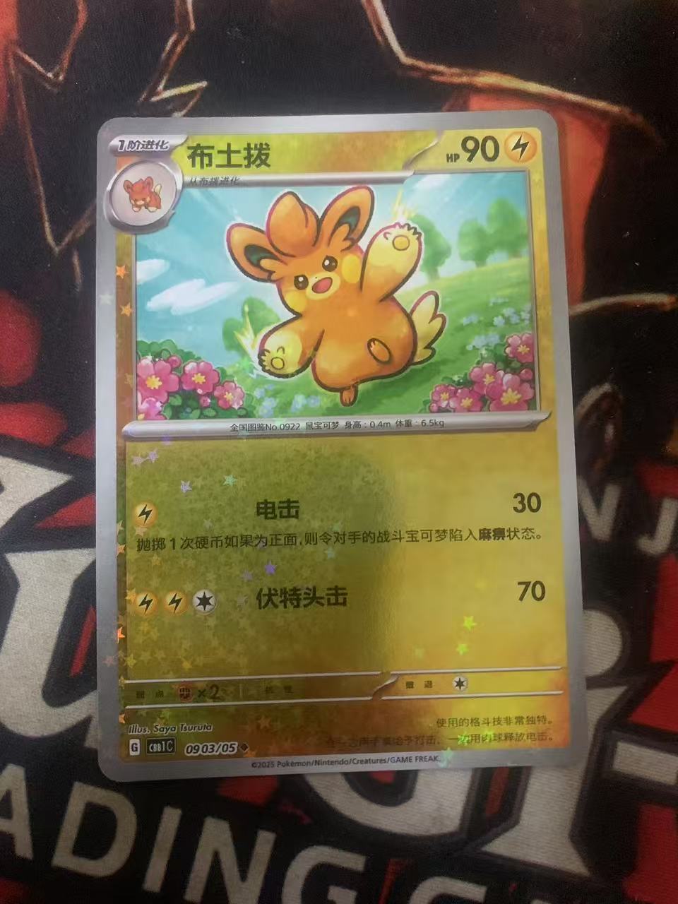 2024 Pokemon TCG 1 布土拨 星星闪 chs 宝可梦 简中 木水拍卖第一百七十二期