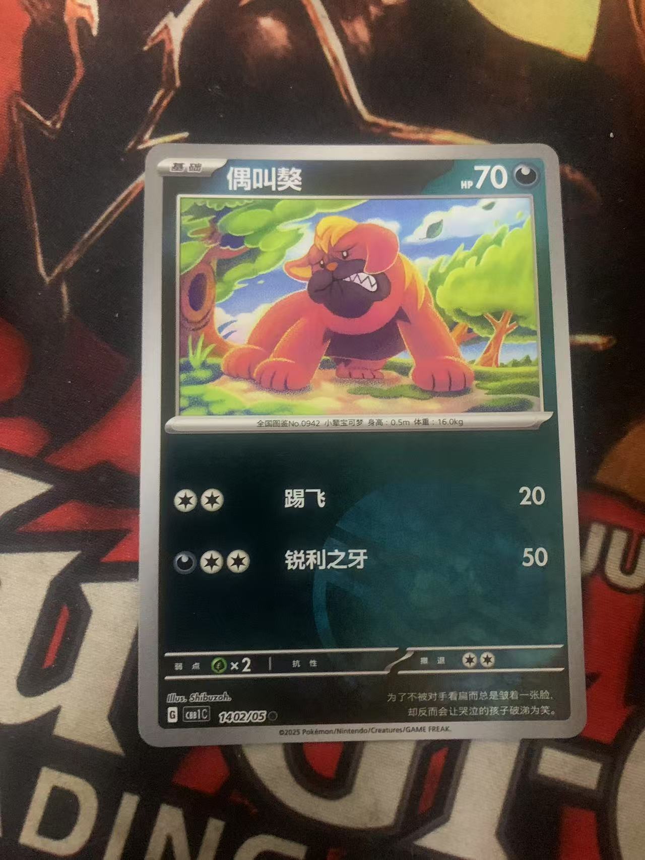 2024 Pokemon TCG 1 偶叫敖 精灵球闪 chs 宝可梦 简中 木水拍卖第一百七十二期