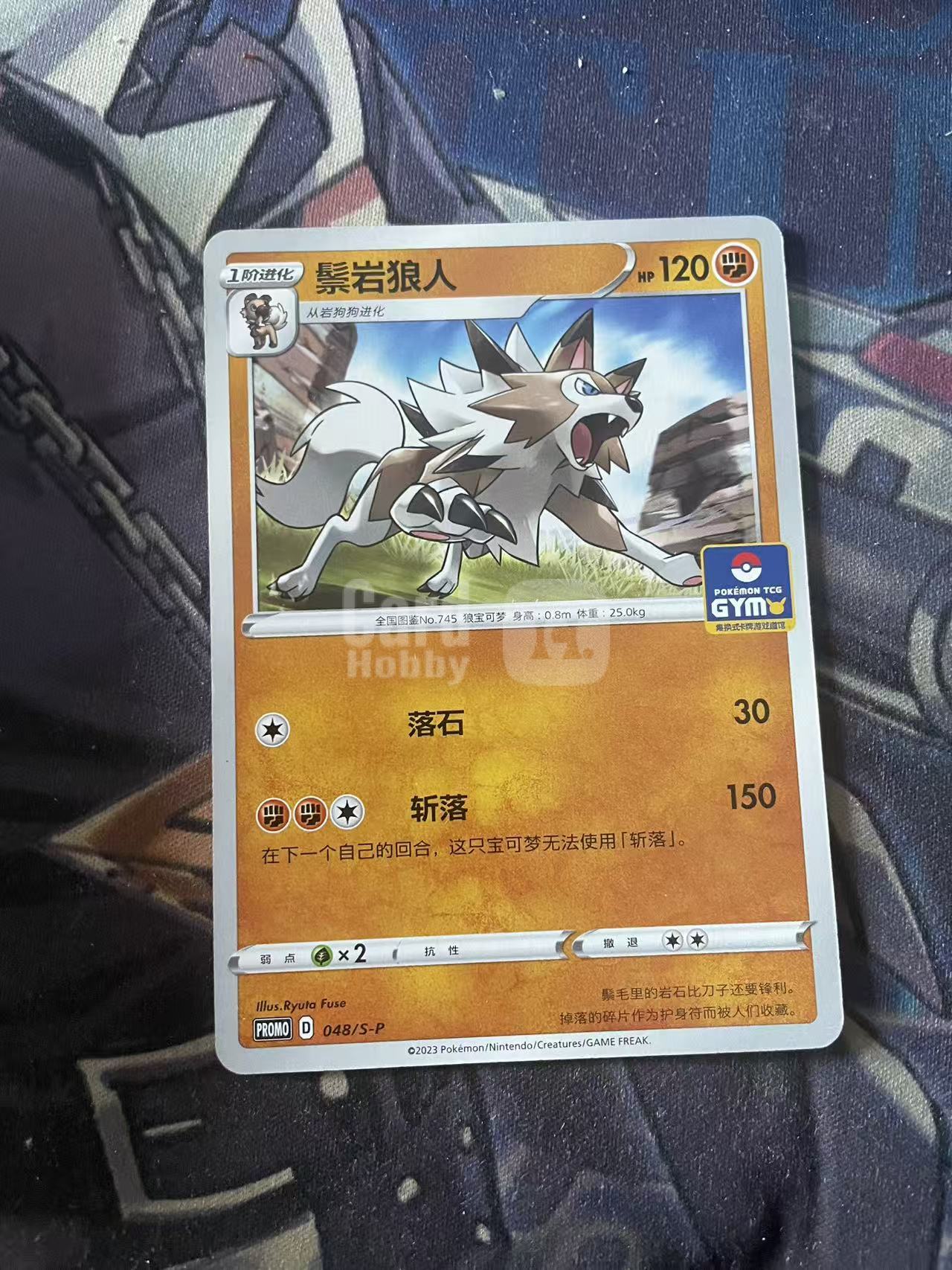 2024 Pokemon TCG 1 棕岩狼人 道馆包 chs 宝可梦 简中 木水拍卖 204